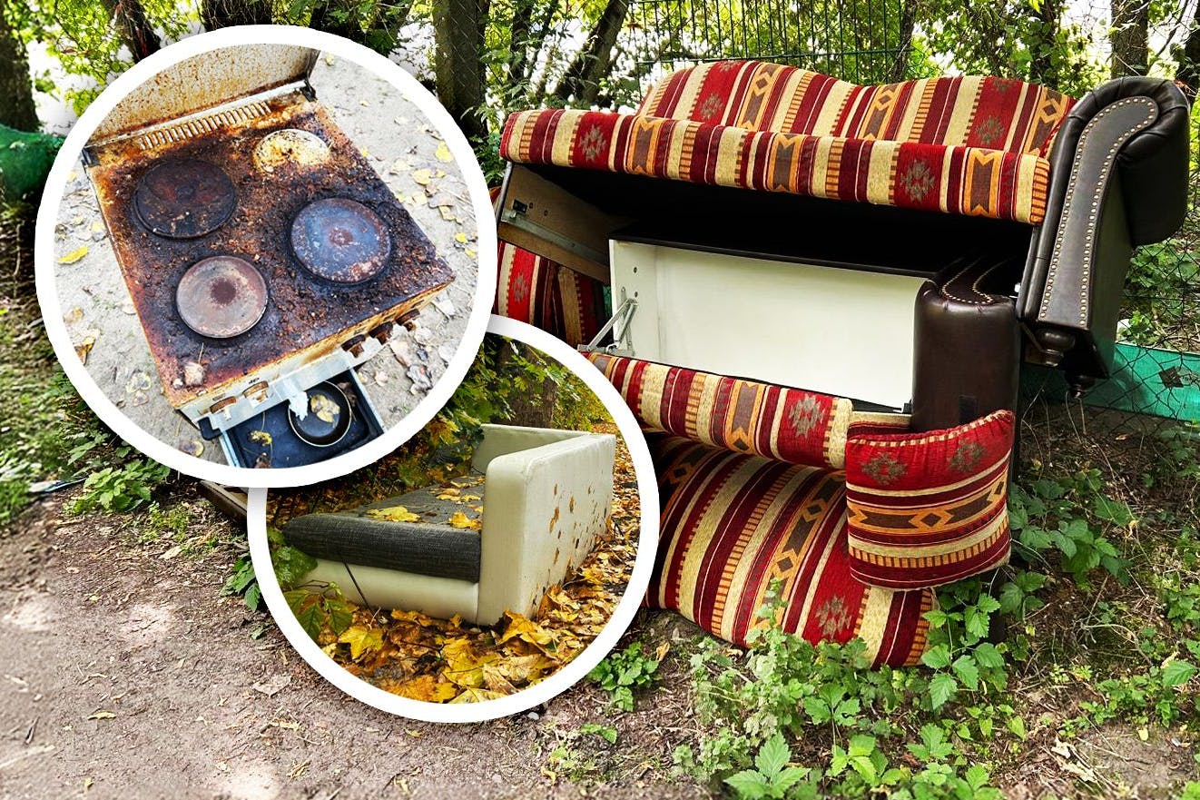 Ein in der Natur entsorgtes Sofa, die Teile sind formschön aufgestapelt. Soll das die Umwelt-Sünde etwas besser machen? Kleine Fotos: Ein achtlos abgestellter Herd und ein Sofa am S-Bahnhof Rummelsburg.