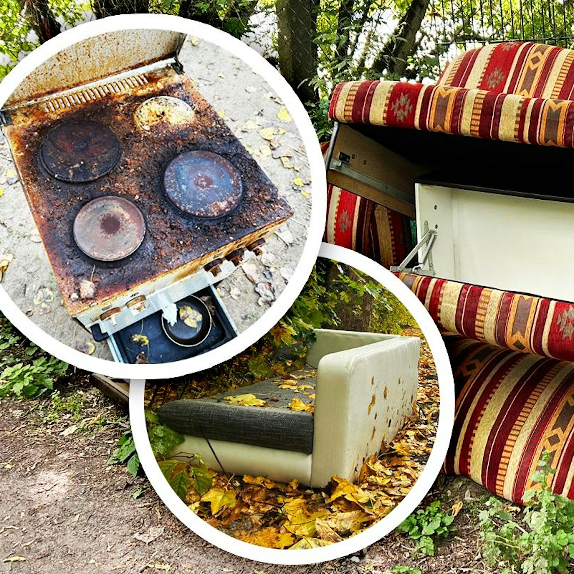 Müll in Berlin: Kassiert diese Dreck-Ferkel richtig ab!