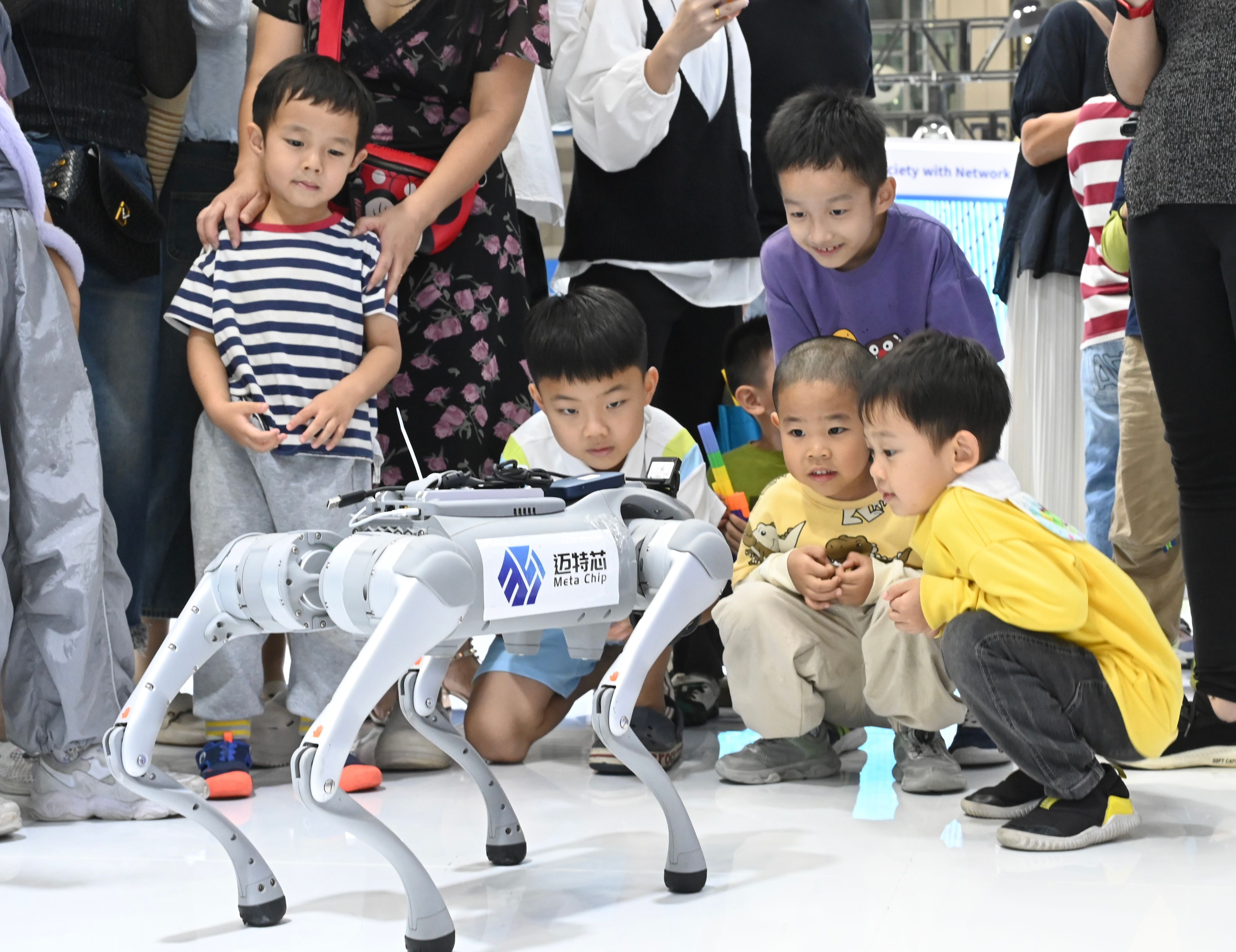 Image - Die graue Krise wird heftig: Worauf sich die alternde Welt gefasst machen muss