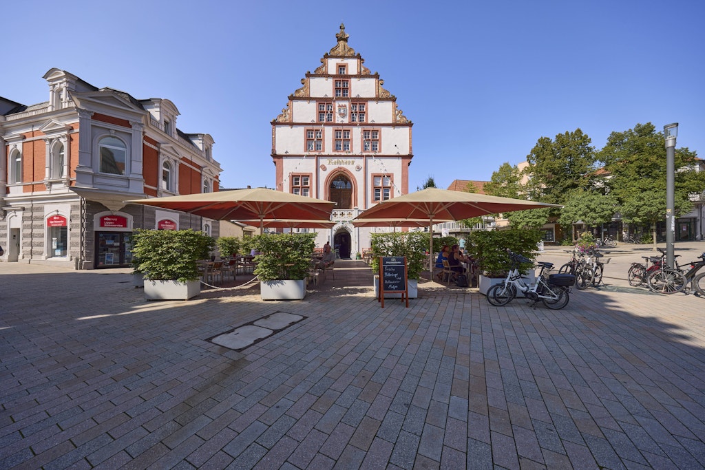 Nur zwei Wochen in Amt: Stadtrat setzt AfD-Vizebürgermeisterin Sabine Reinknecht wieder ab