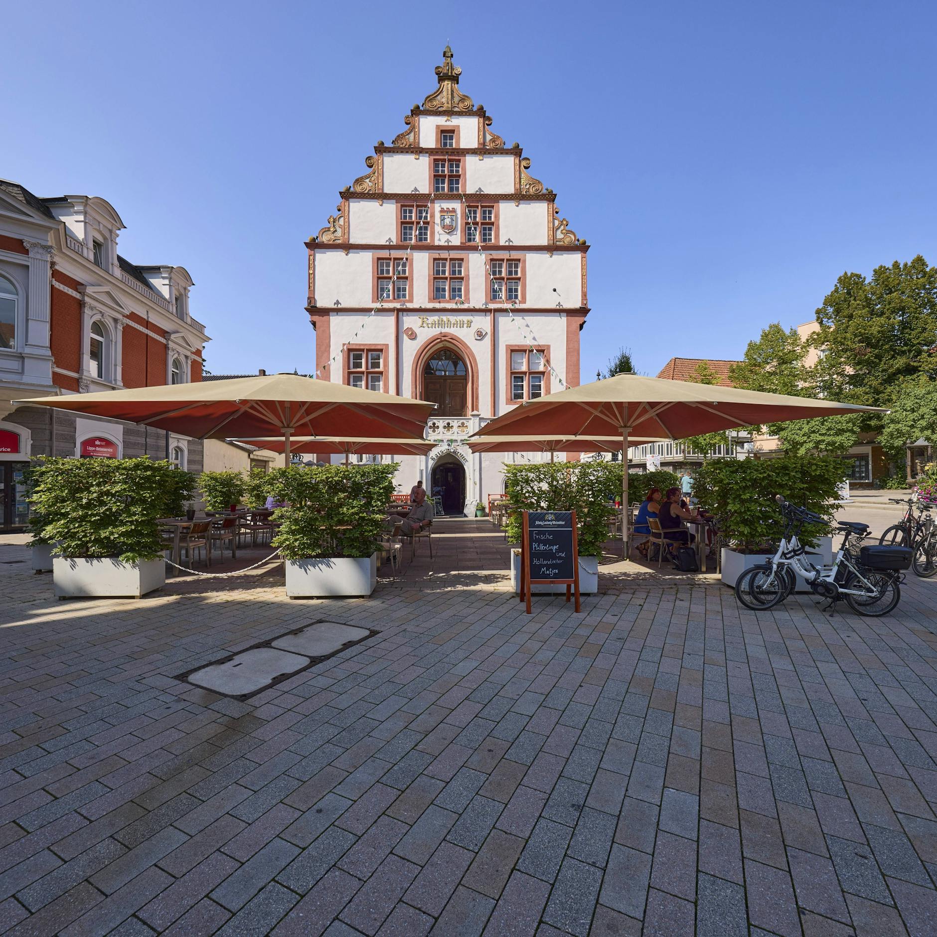 Image - Nur zwei Wochen in Amt: Stadtrat setzt AfD-Vizebürgermeisterin Sabine Reinknecht wieder ab