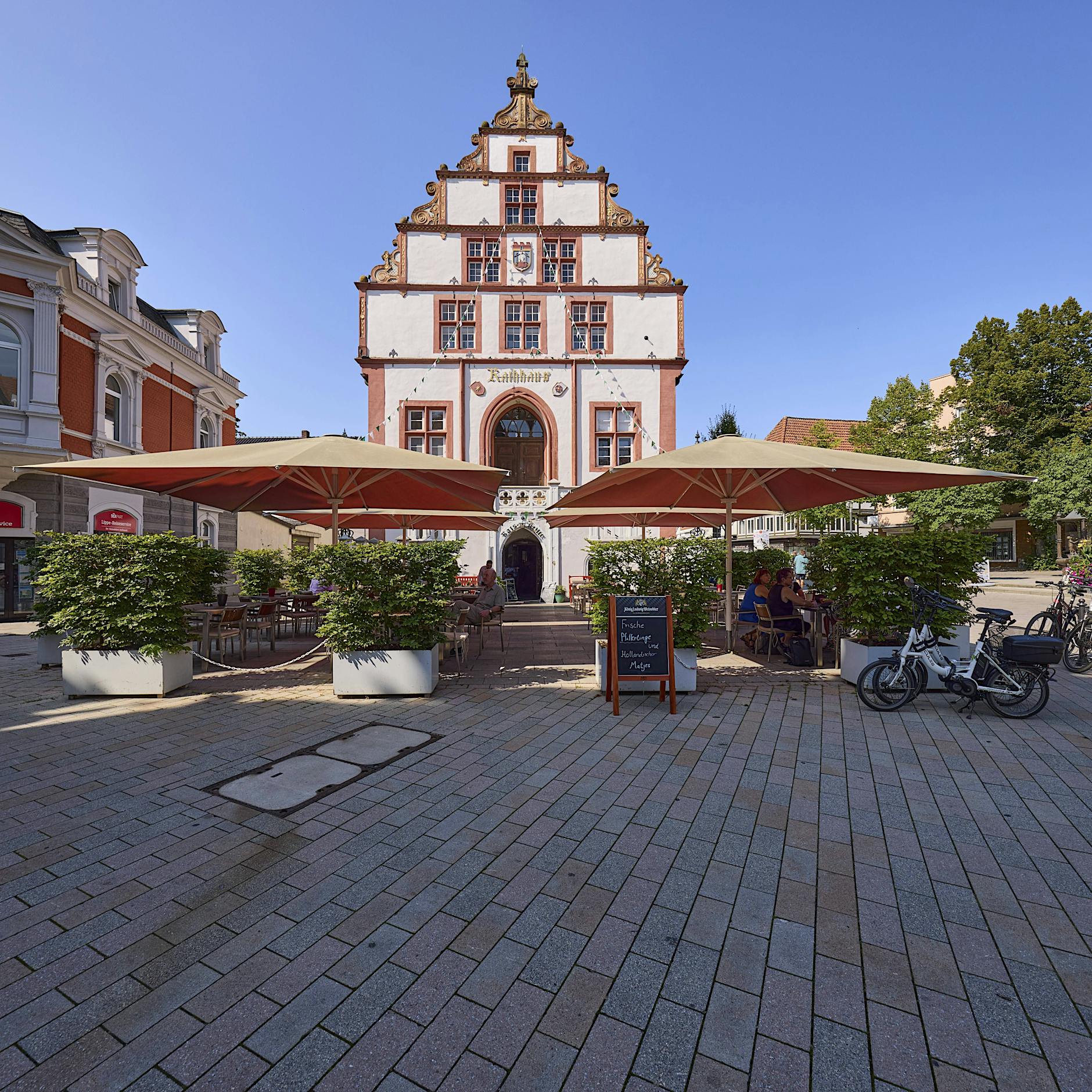 Nur zwei Wochen in Amt: Stadtrat setzt AfD-Vizebürgermeisterin Sabine Reinknecht wieder ab