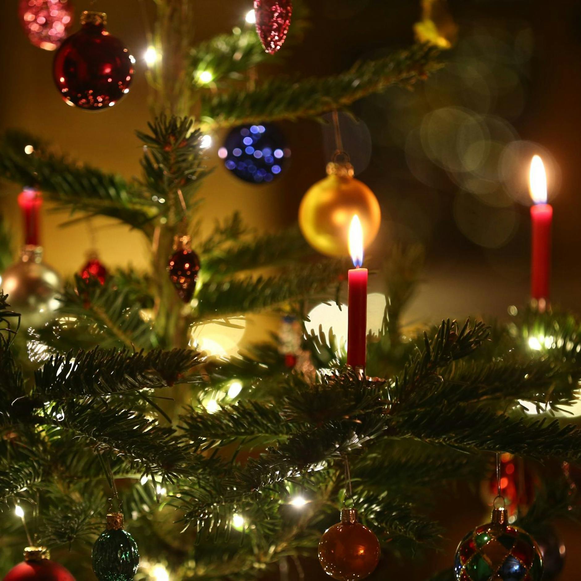 Image - Opas letztes Weihnachten: Warum wir oft viel zu spät verstehen, worum es im Leben wirklich geht