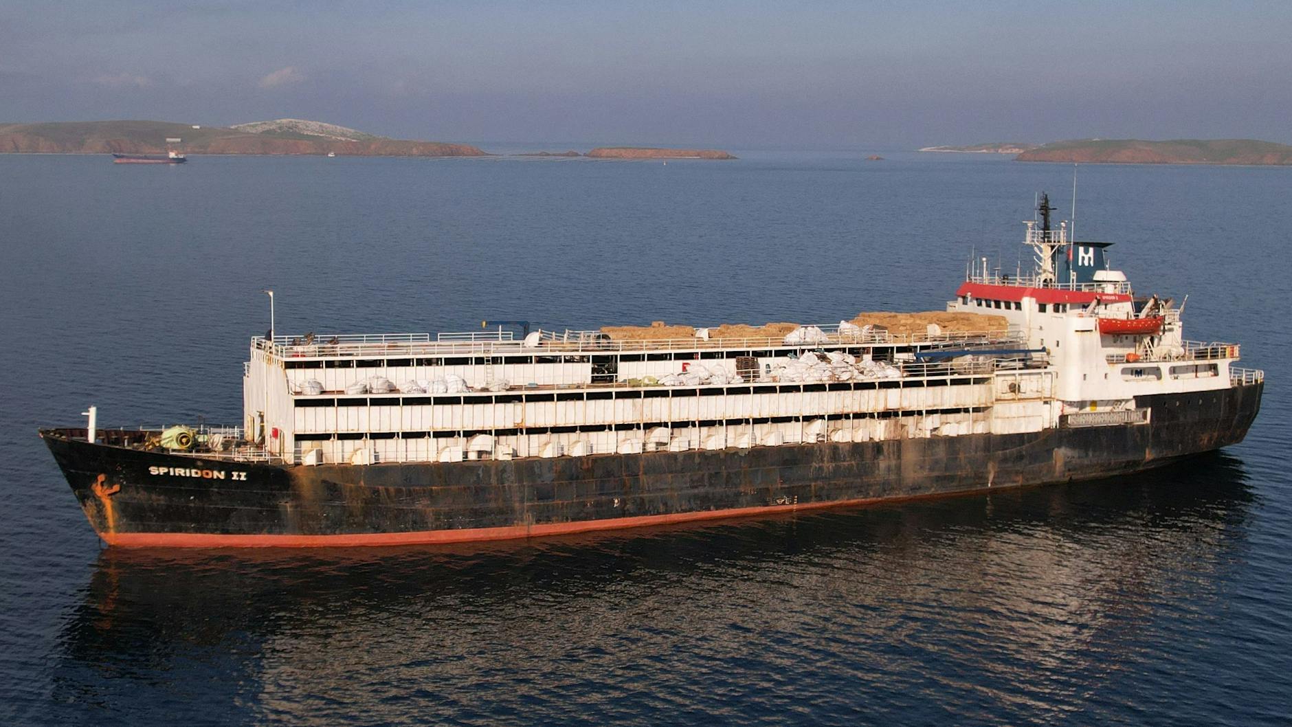 Auf diesem von der Animal Welfare Foundation zur Verfügung gestellten Bild ankert das Viehtransportschiff Spiridon II mit Tausenden Rindern noch vor der türkischen Küste.