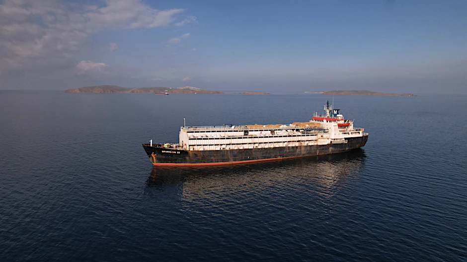 Auf diesem von der Animal Welfare Foundation zur Verfügung gestellten Bild ankert das Viehtransportschiff Spiridon II mit Tausenden Rindern noch vor der türkischen Küste.