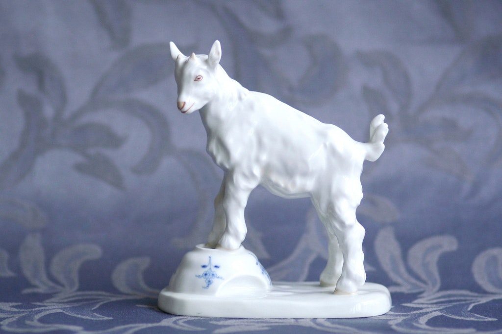 Rezept für geschmortes Zicklein: Ziege sollte öfter auf dem Speiseplan stehen