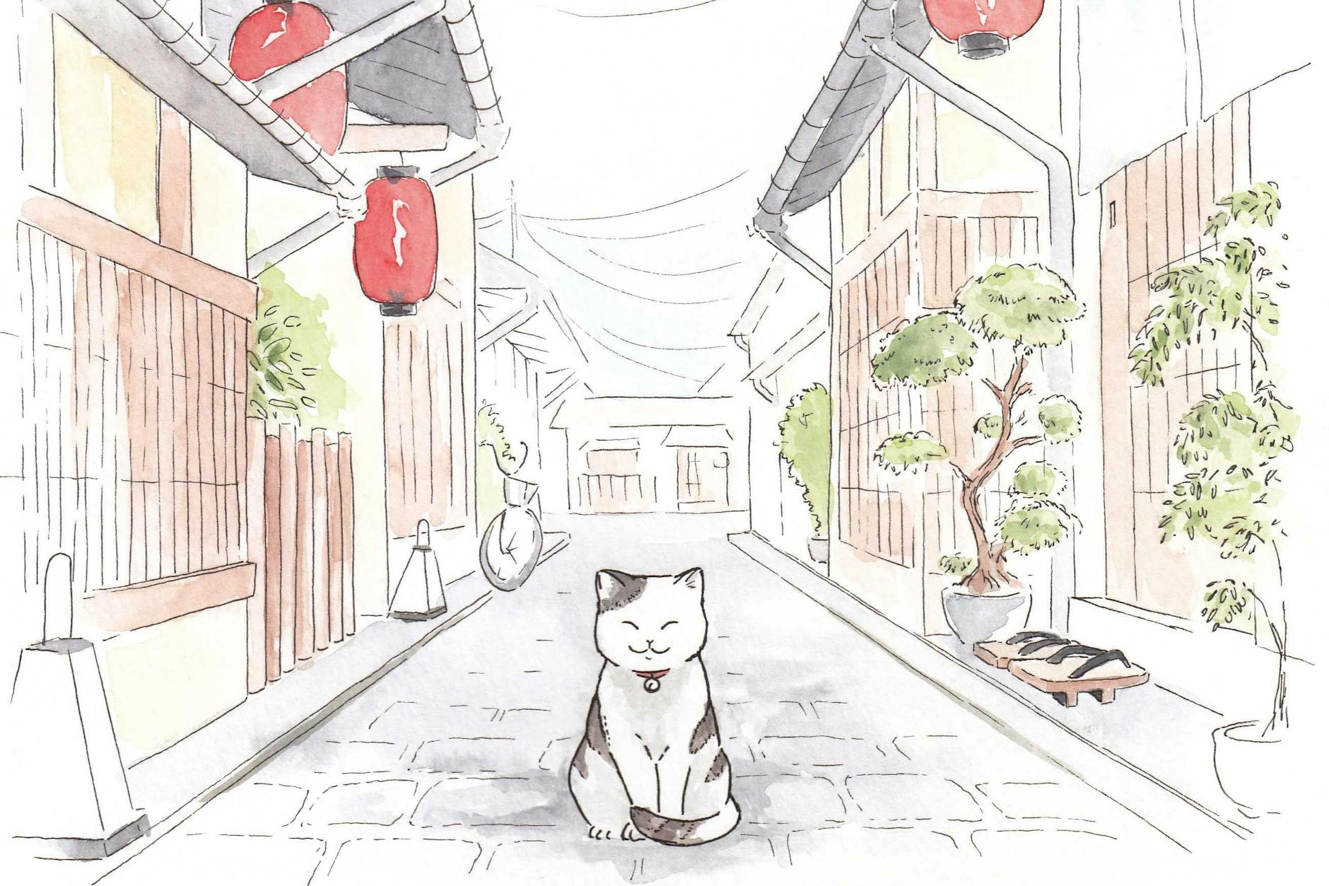 Das Buch „Katzenpfade“ nimmt den Leser mit auf eine besondere Reise nach Japan.