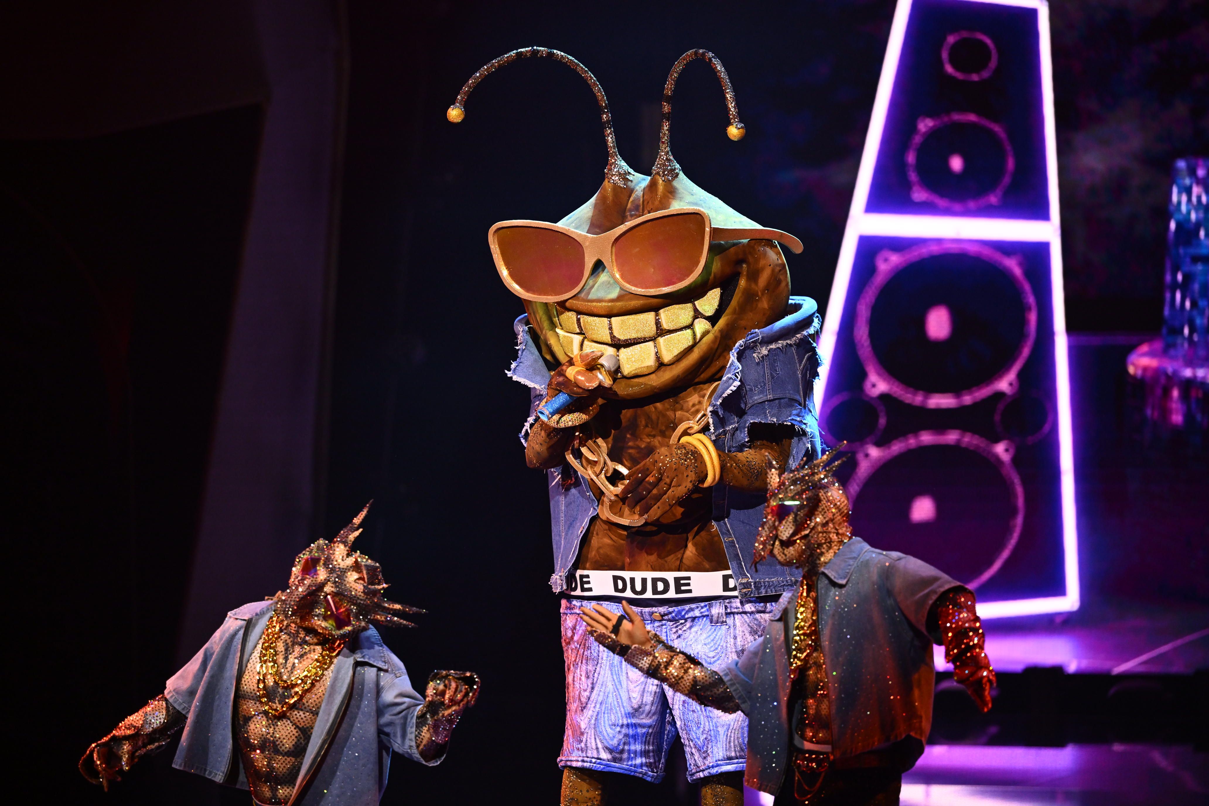 Stinkwanze Dude bei „Masked Singer“ enttarnt: Dieser Star ist es!