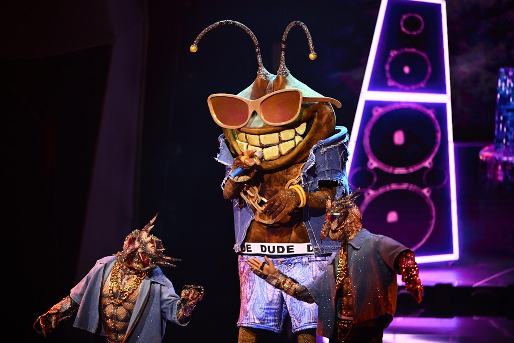 Stinkwanze-Dude-bei-Masked-Singer-enttarnt-Dieser-Star-ist-es-
