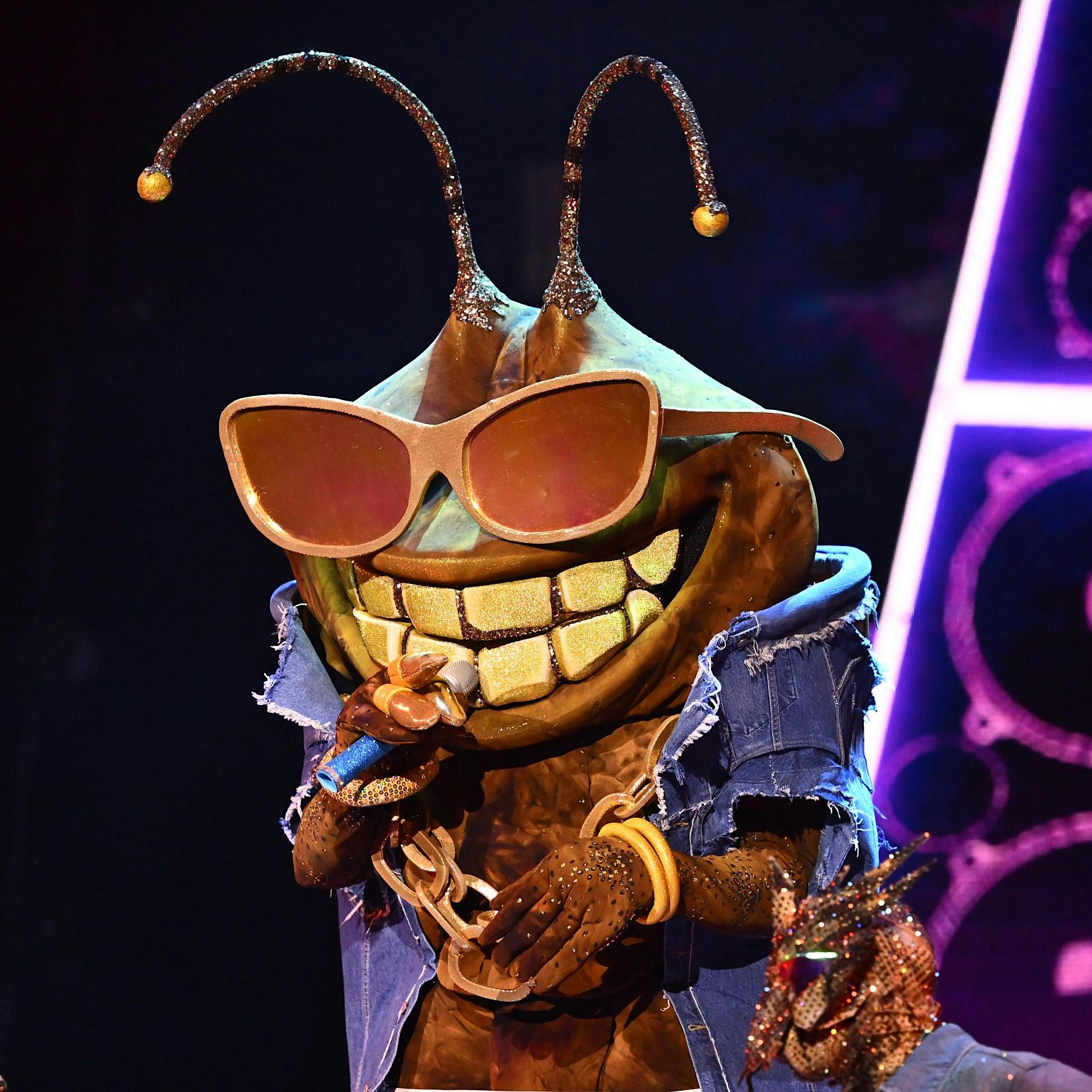 Stinkwanze Dude bei „Masked Singer“ enttarnt: Dieser Star ist es!