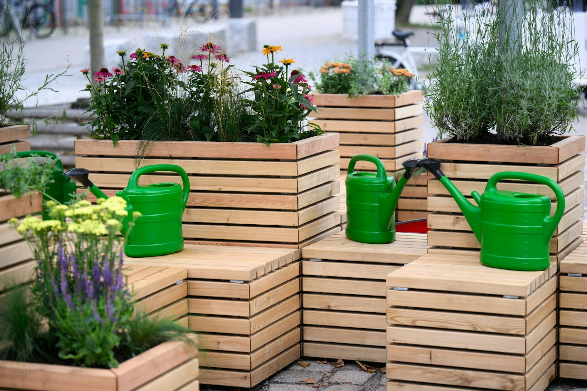 So schön bepflanzt blieb Berlins erster uns einziger Cooling Point nicht lange.