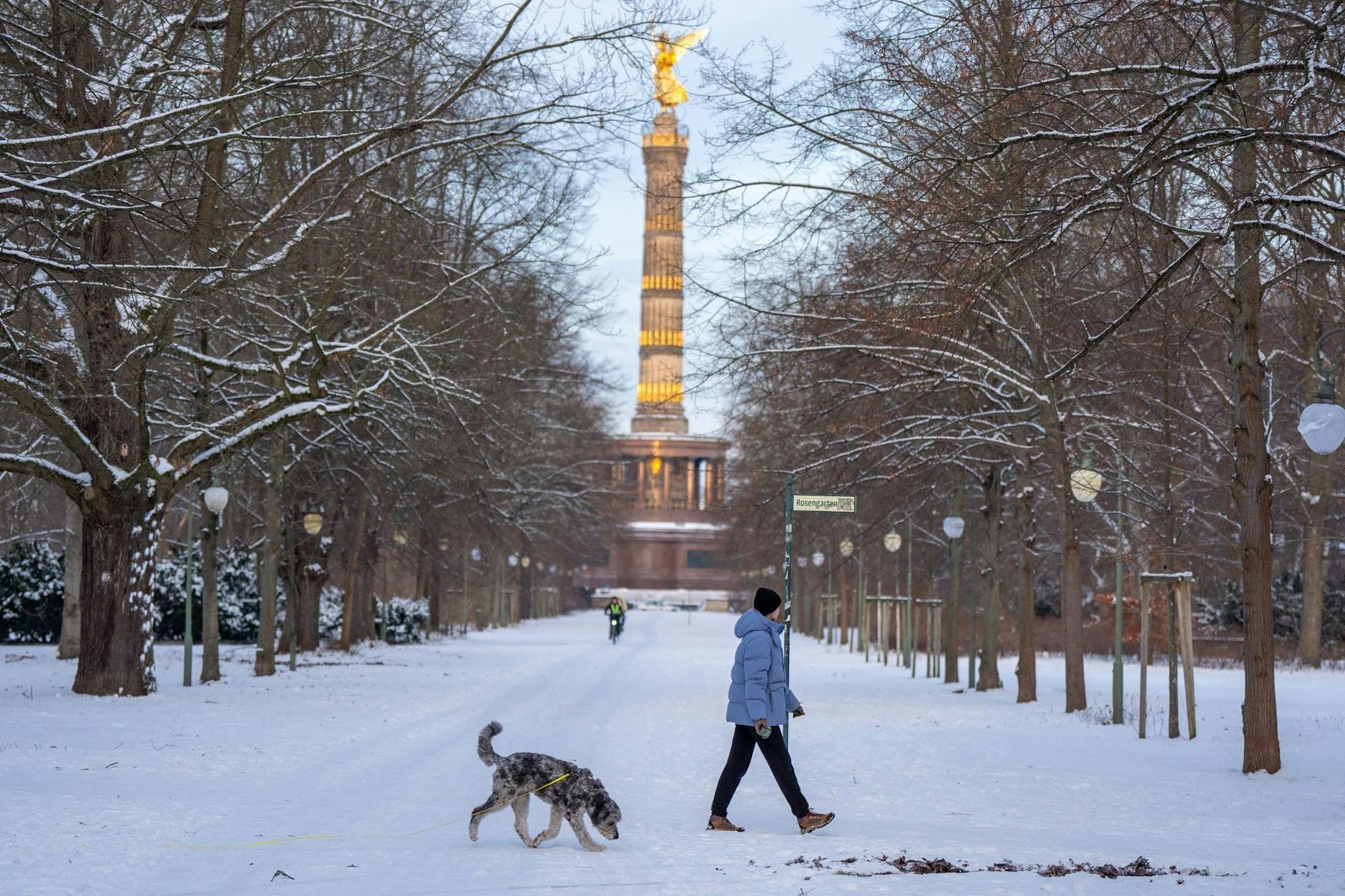 Eine Frau geht mit ihrem Hund vor der Kulisse der Siegessäule im verschneiten Tiergarten spazieren. (Symbolbild)