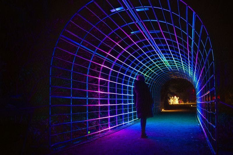 Soll neues Highlight werden: der Lichttunnel bei „Weihnachten im Tierpark“.