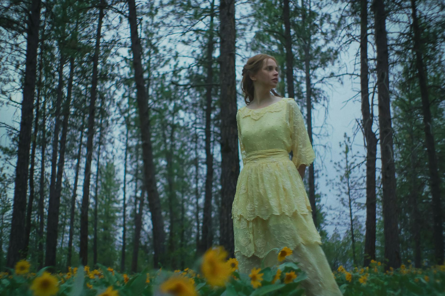 Train Dreams. Felicity Jones as Gladys Grainier in Train Dreams. Cr. BBP Train Dreams. LLC. © 2025.