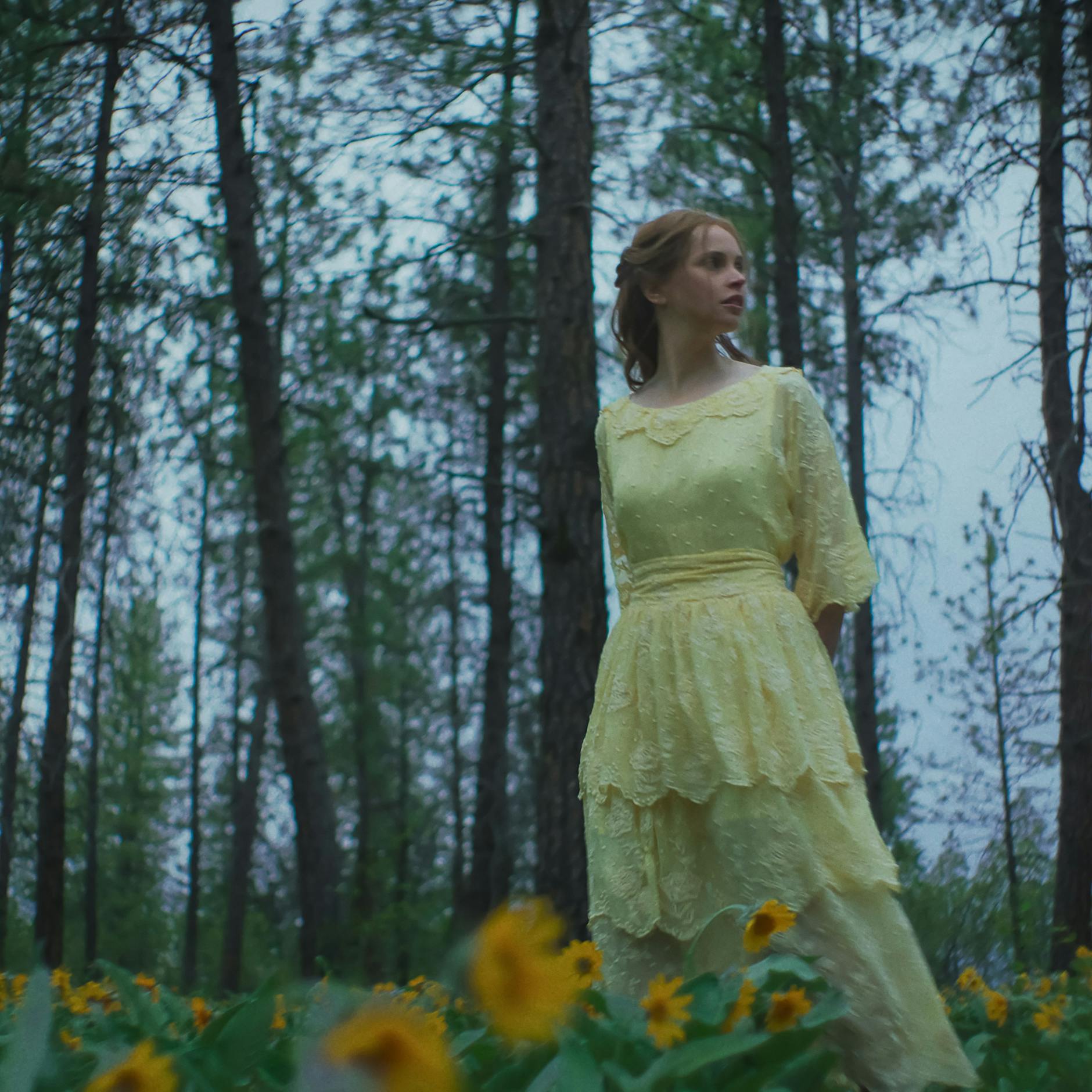 Image - „Train Dreams“ auf Netflix: Warum dieser Film viele Oscars verdient hat