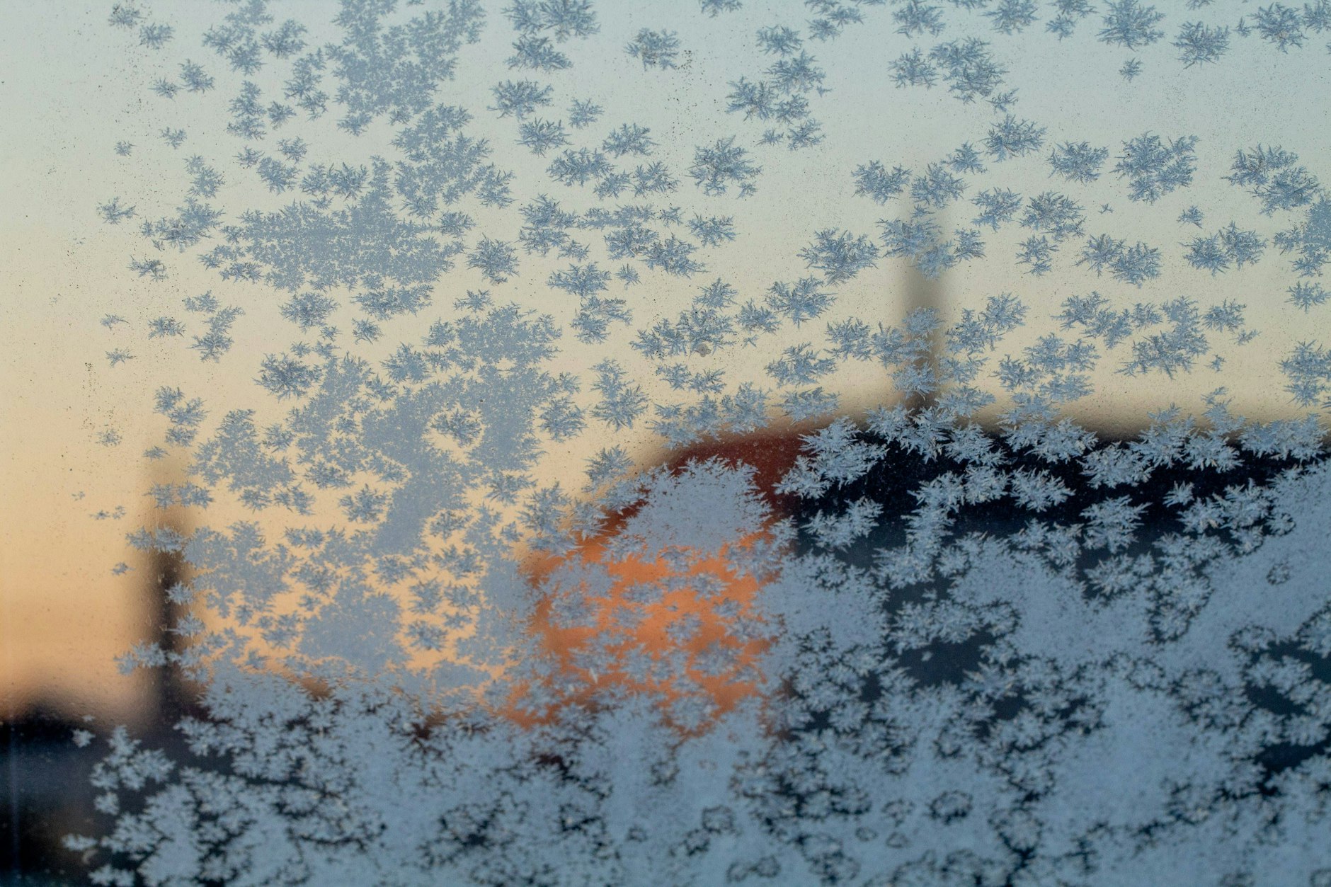 Morgenfrost am Fenster