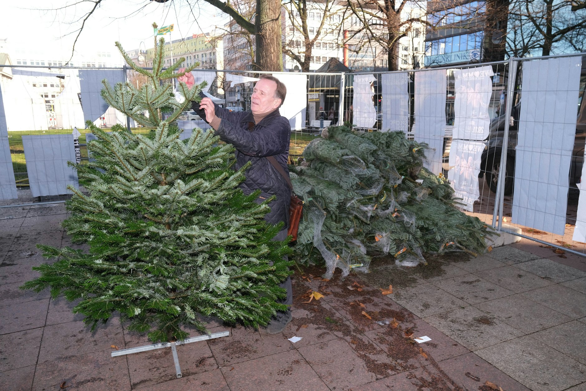 Das Aufstellen der schönen Weihnachtsbäume: Für Marktleiter Axel Kaiser ist das Chefsache.