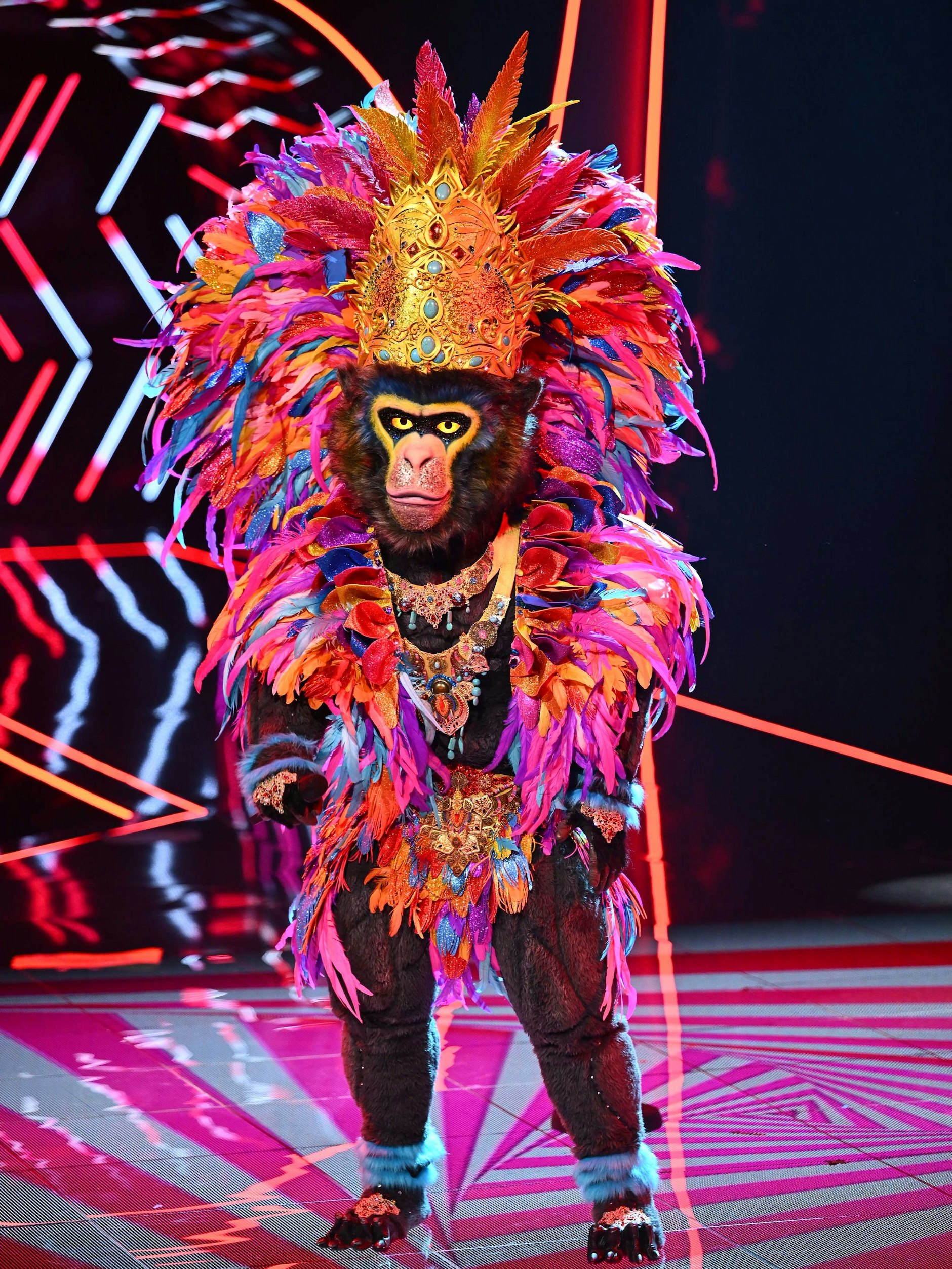 Könnte es sein, dass Sasha als Gast im Rateteam das Rätsel um den Gorilla King löst? 