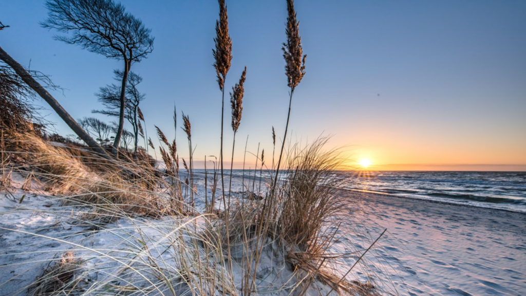 Off-Season-an-der-d-nischen-K-ste-warum-sich-Urlaub-im-Ferienhaus-jetzt-besonders-lohnt