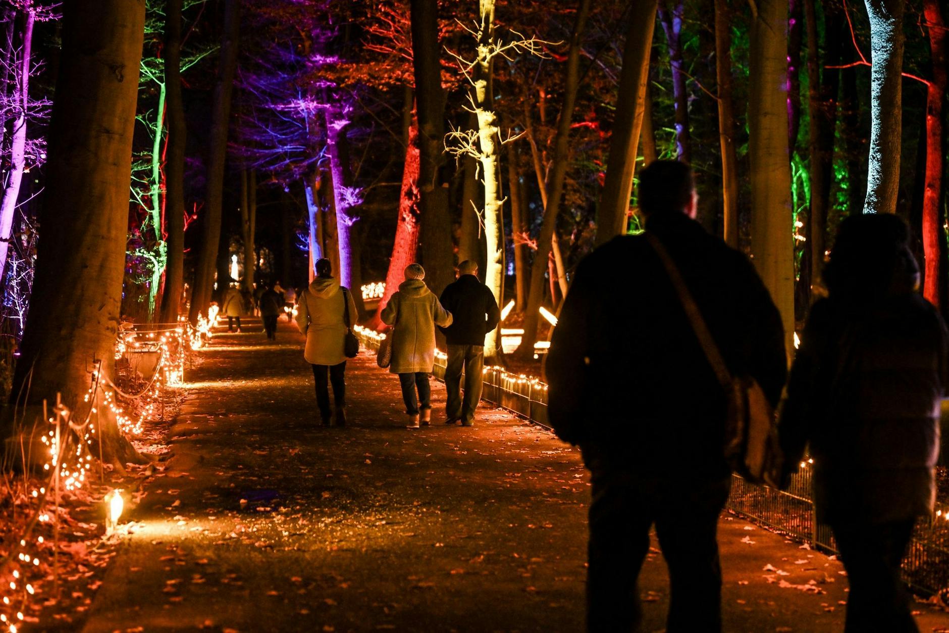 Die beleuchteten Wege im Tierpark begeistern jedes Jahr aufs Neue die Besucher.
