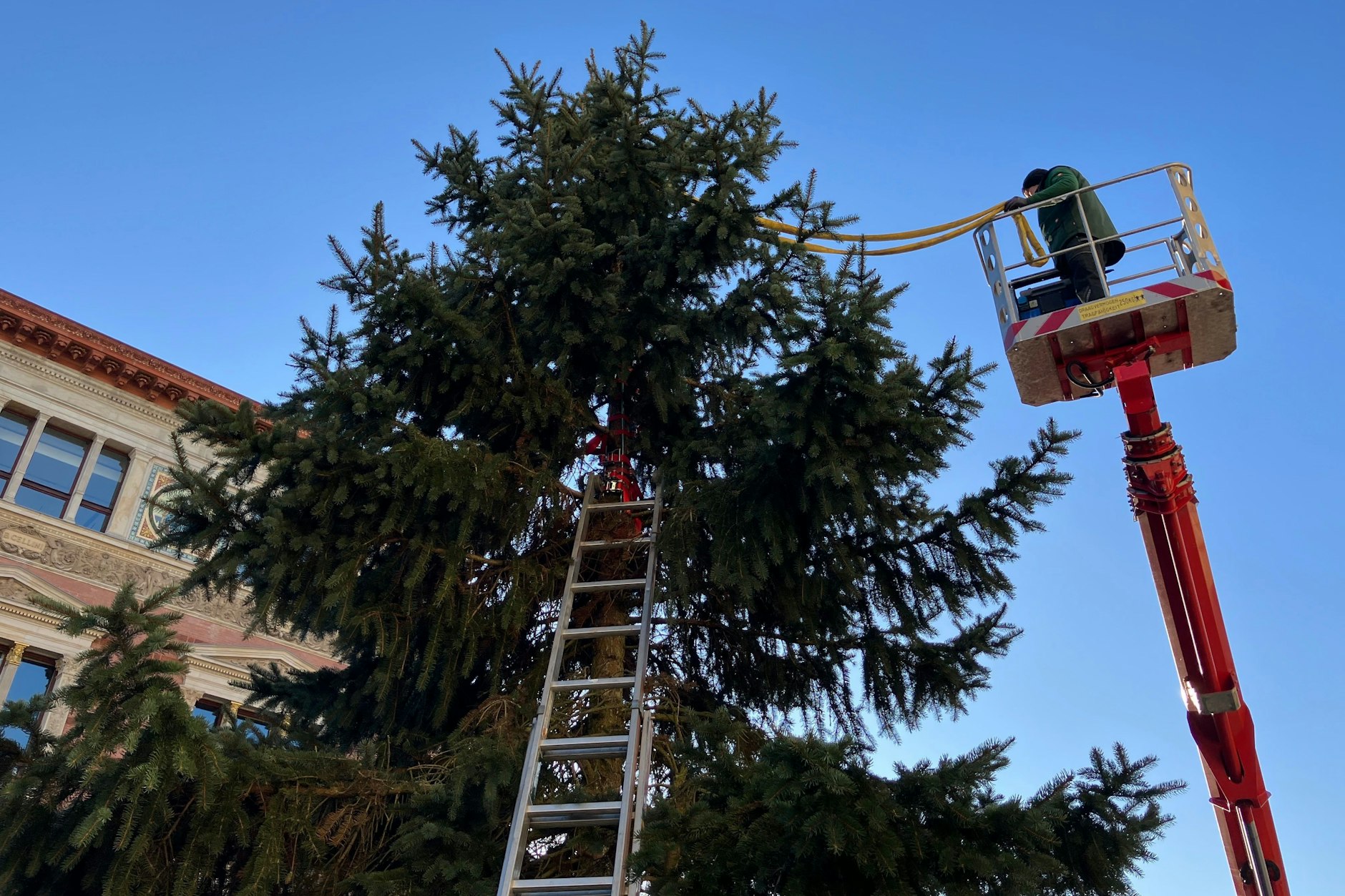 Der Weihnachtsbaum vor dem Berliner Abgeordnetenhaus wird aufgestellt 