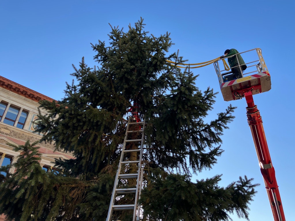 Spitze-ab-Berlin-kann-nicht-mal-Weihnachtsbaum
