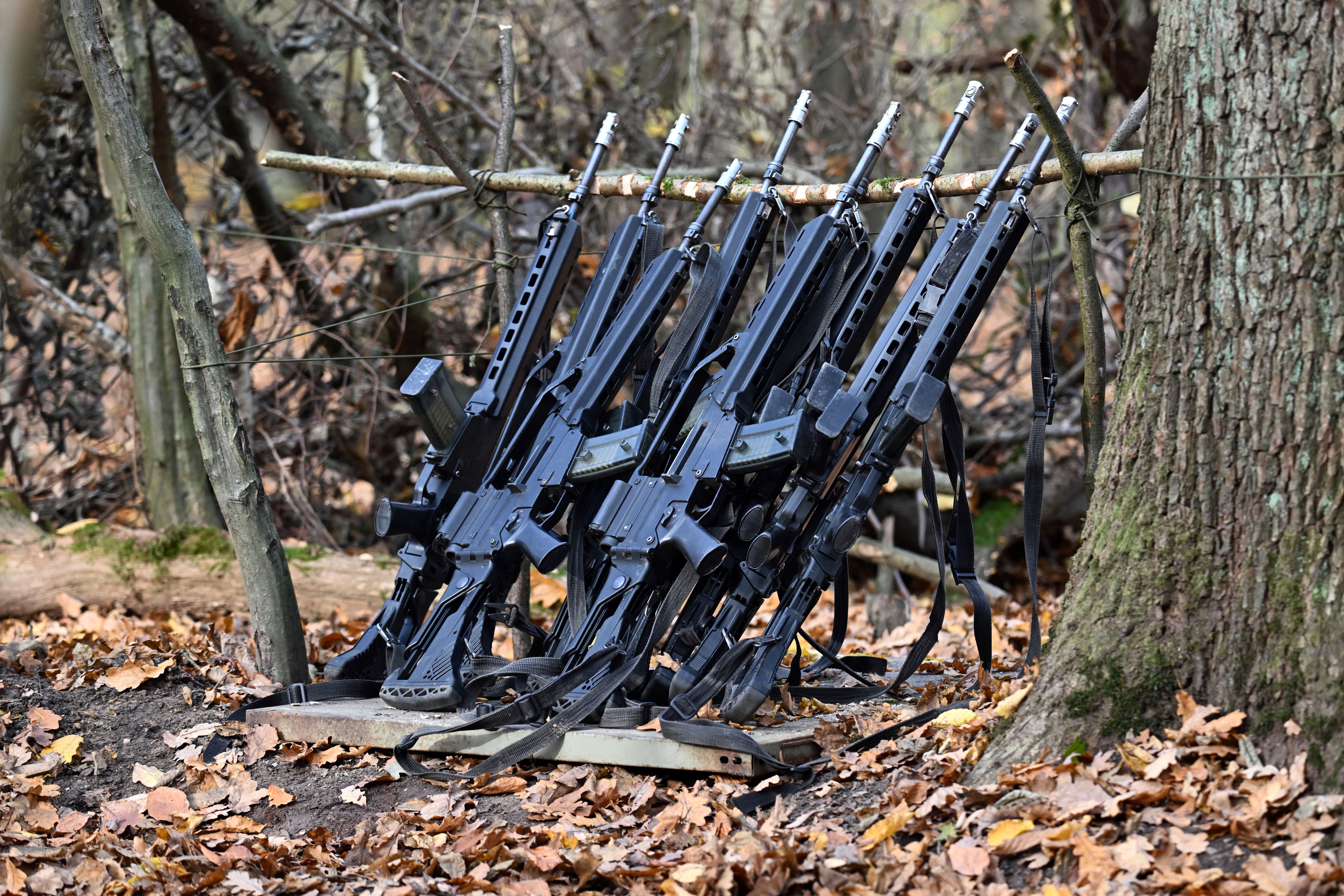 Image - „Tipps und Tricks“ für Kriegsdienstverweigerer: „Linke will anscheinend den Staat nicht schützen“