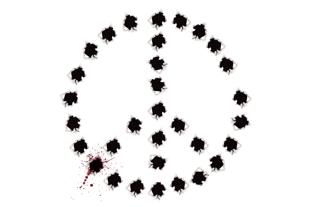 Wie Wehrdienst und Bundeswehr-Übungen das Land verändern