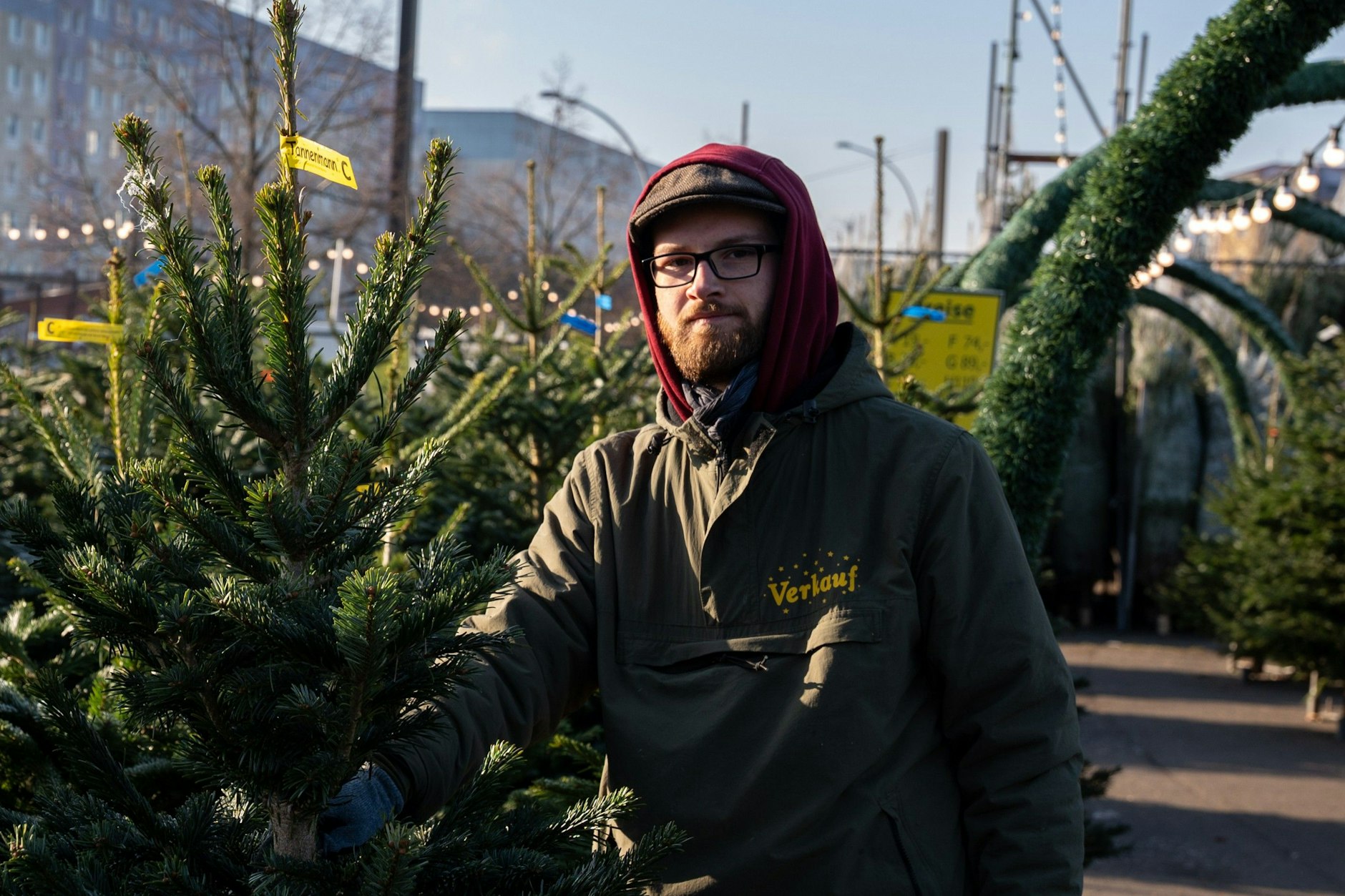 Kasimir ist gelernter Tischler und seit zwei Jahren im Weihnachtsbaumgeschäft. Er liebt die Arbeit, wie er uns berichtet. Am Abend, erzählt er uns, sei es besonders schön.