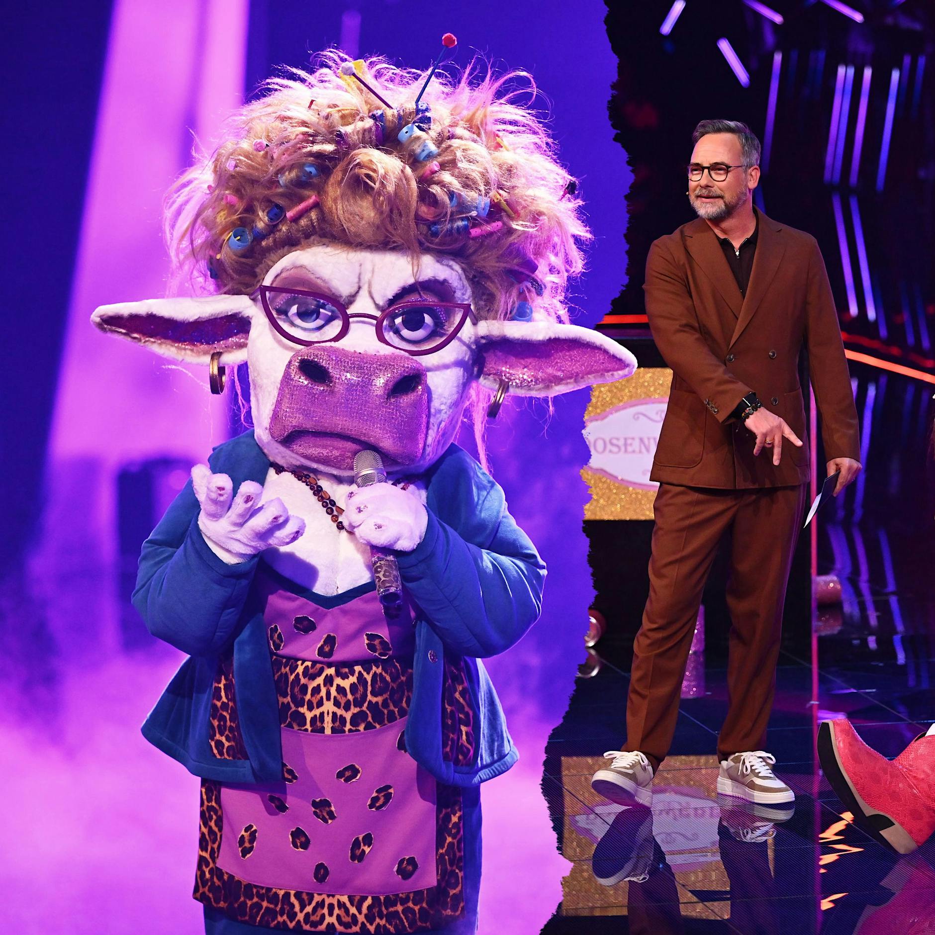 „Masked Singer“: Komplette Liste enthüllt! Das sind die Stars unter den Masken