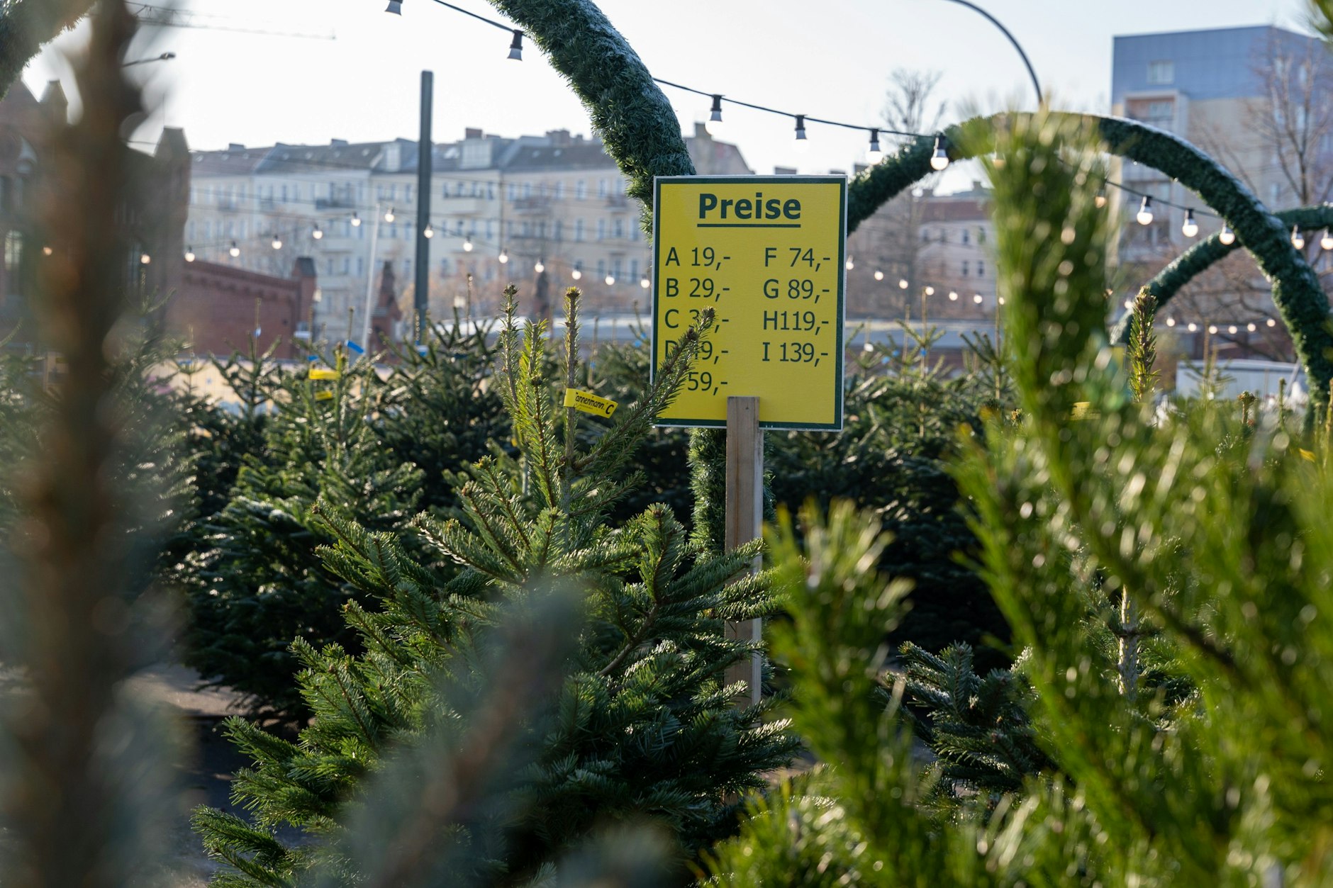 Blick auf die Preisliste des Weihnachtsbaumverkaufsstands "Der Tannenmann" Die Preise beginnen ab 19 Euro und gehen hoch bis 139 Euro.