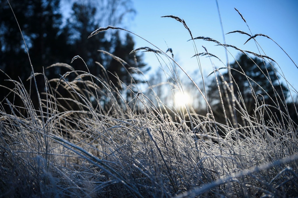 Wetter in Berlin aktuell: Erster Schnee fällt, DWD warnt vor Glätte und Frost