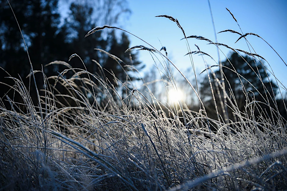 Der erste Schnee soll in der Nacht auf Montag fallen.