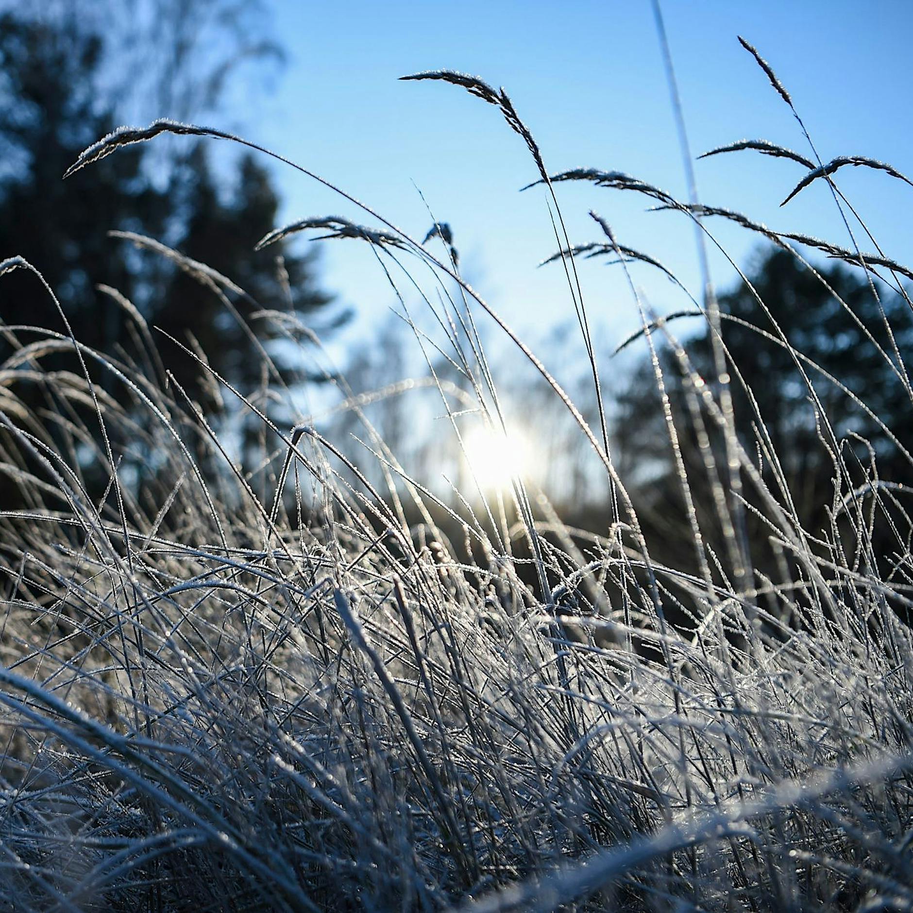 Wetter in Berlin aktuell: Erster Schnee fällt, DWD warnt vor Glätte und Frost
