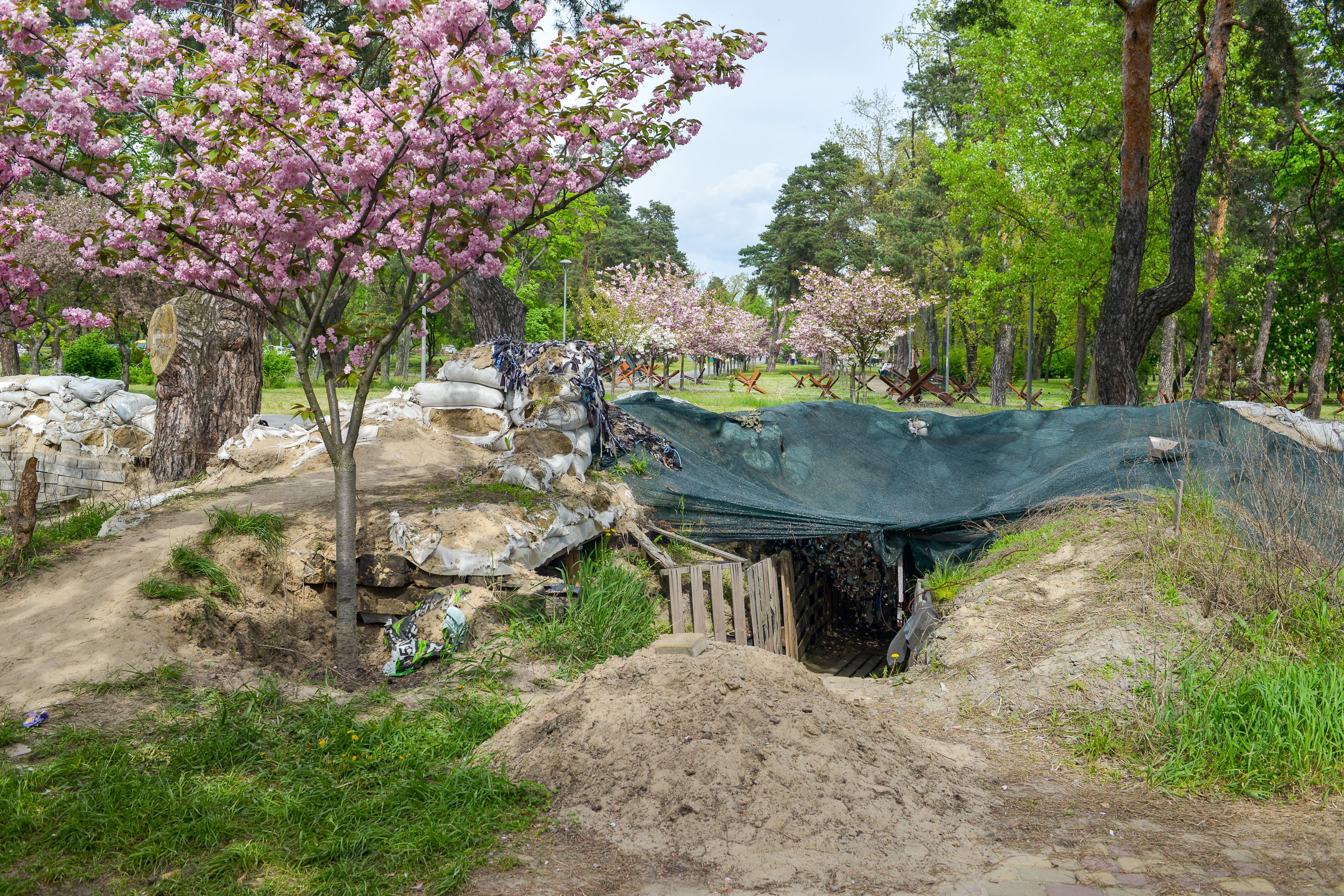 Image - Aufrüstung oder Überleben: Wie Europas Kriegsstrategie das Klima bedroht