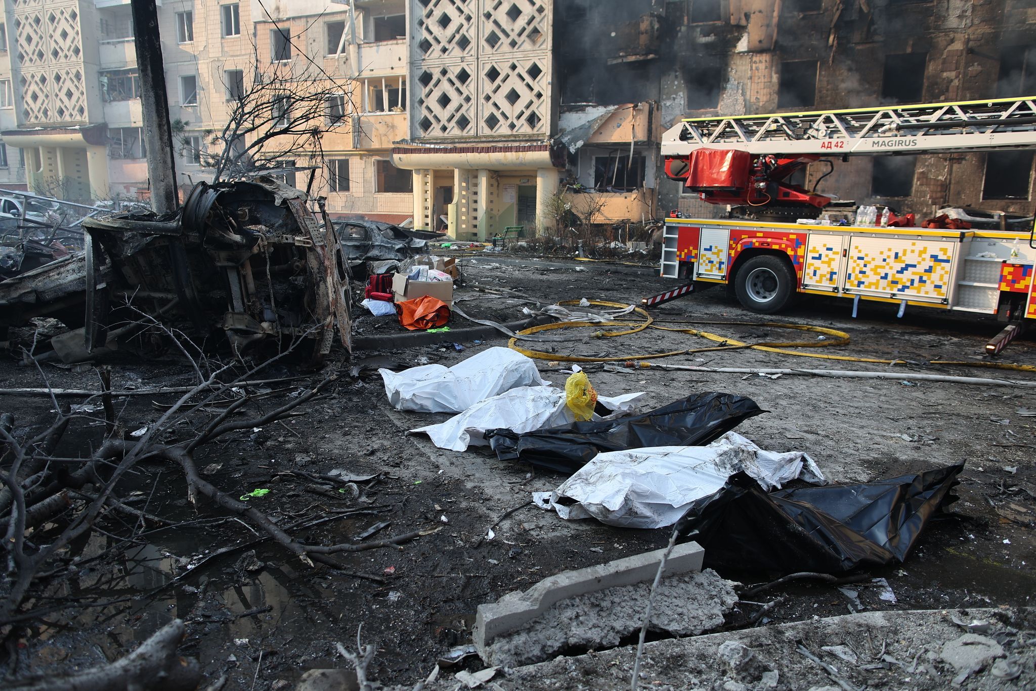 Image - Eigentlich müssten die westlichen Falken den 28-Punkte-Friedensplan umarmen