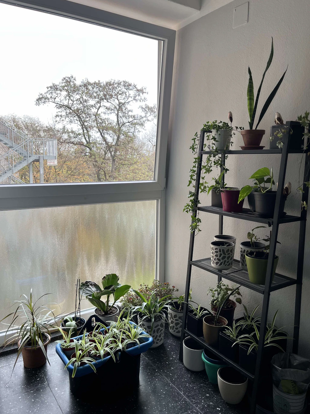 Die Zimmer im Sunshinehouse sind zumeist liebevoll eingerichtet.