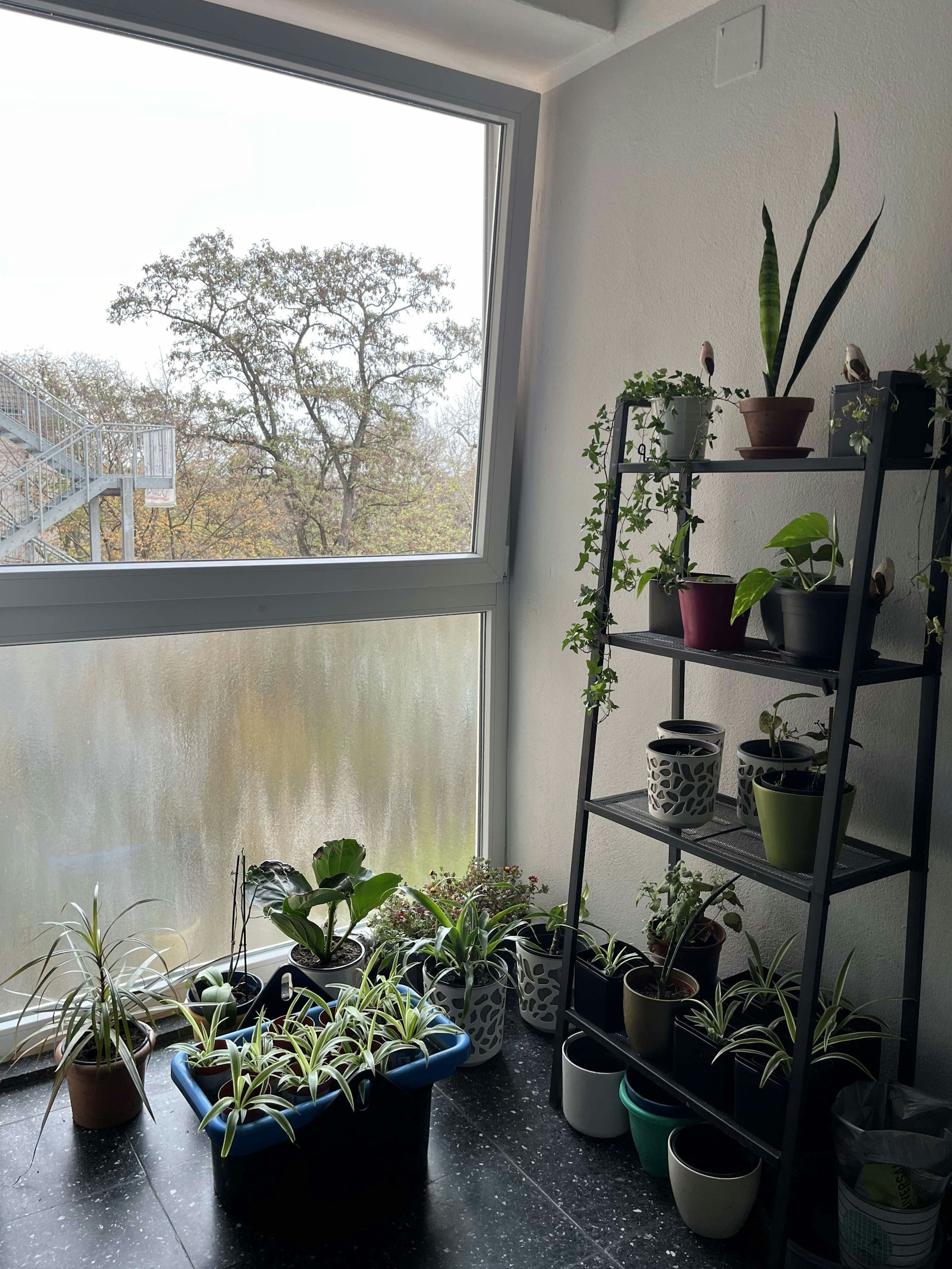Die Zimmer im Sunshinehouse sind zumeist liebevoll eingerichtet.