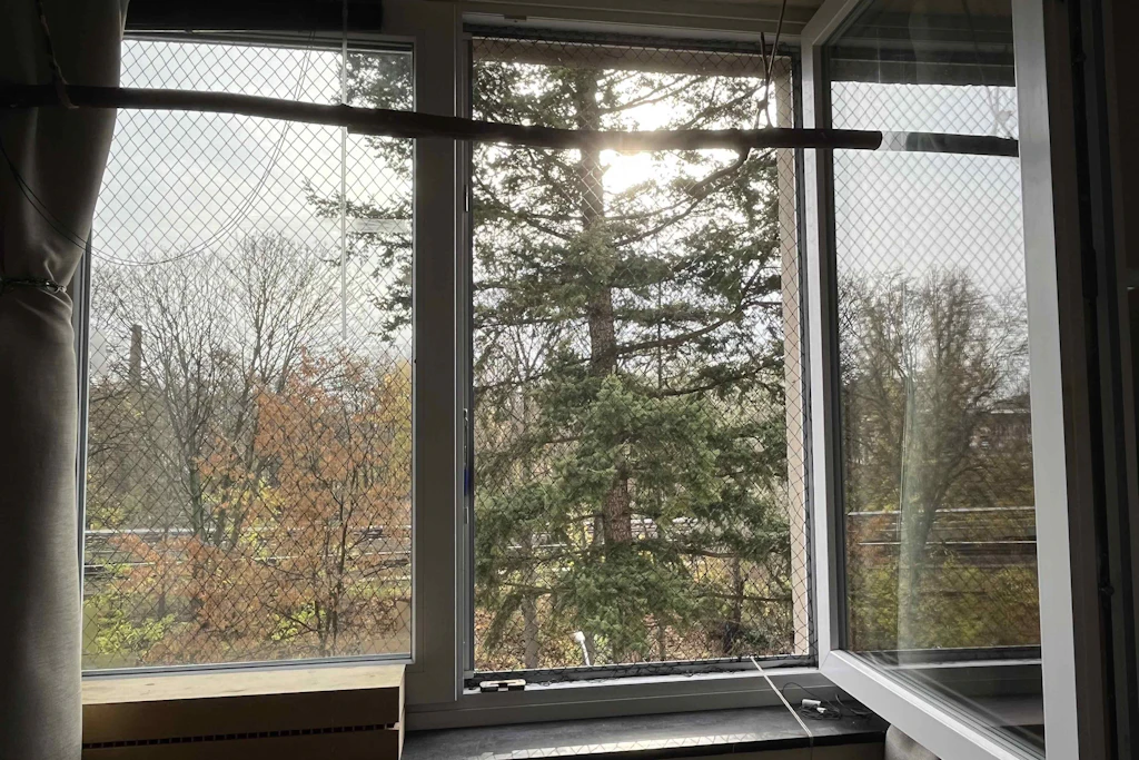 Blick aus einem Fenster des Sunshinehouse