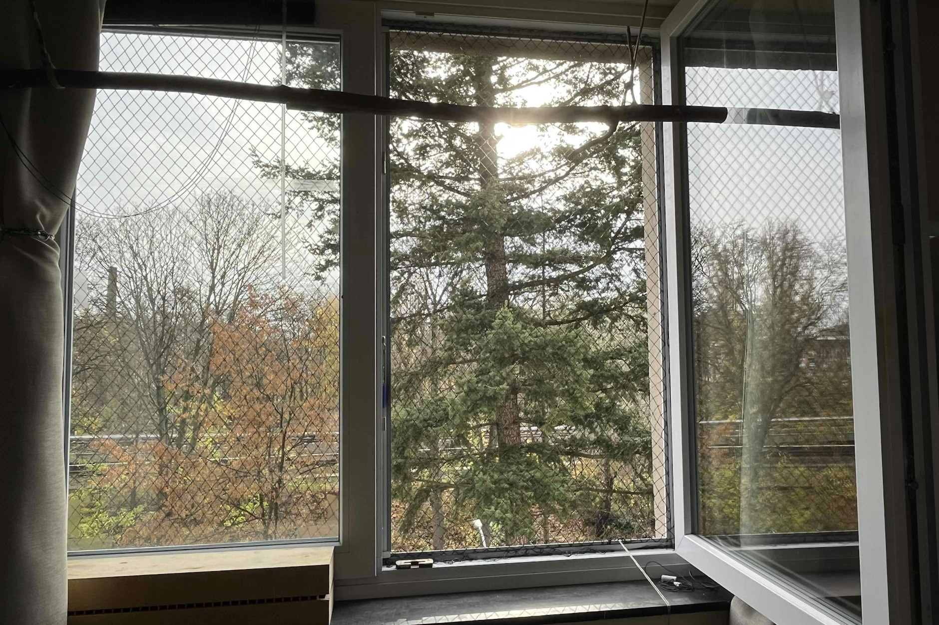 Blick aus einem Fenster des Sunshinehouse