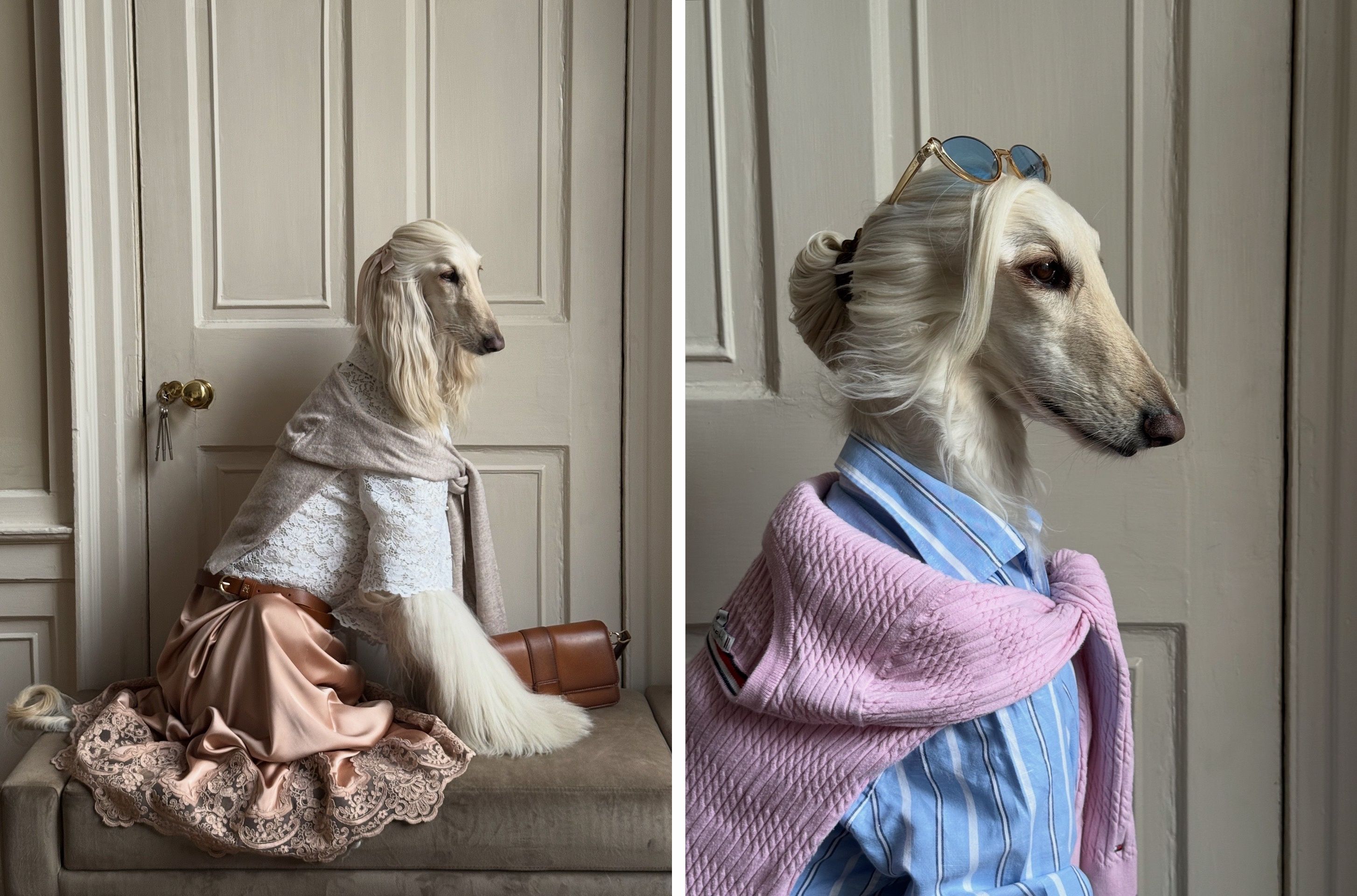 Die Mode ist auf den Hund gekommen: Samantha, die Stilikone mit Fell