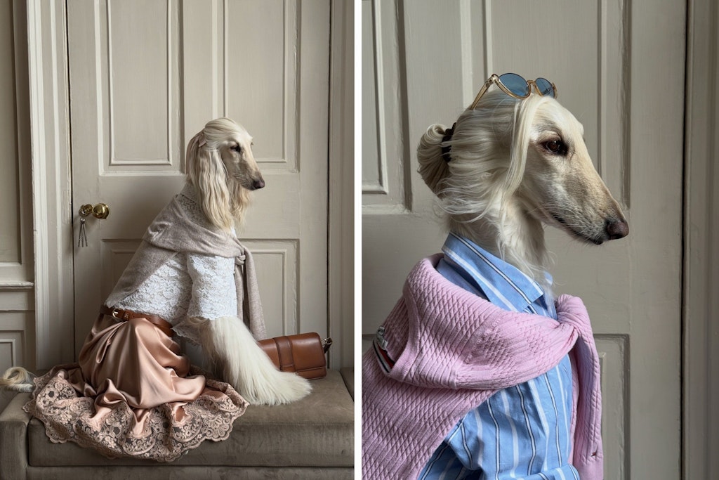 Die Mode ist auf den Hund gekommen: Samantha, die Stilikone mit Fell