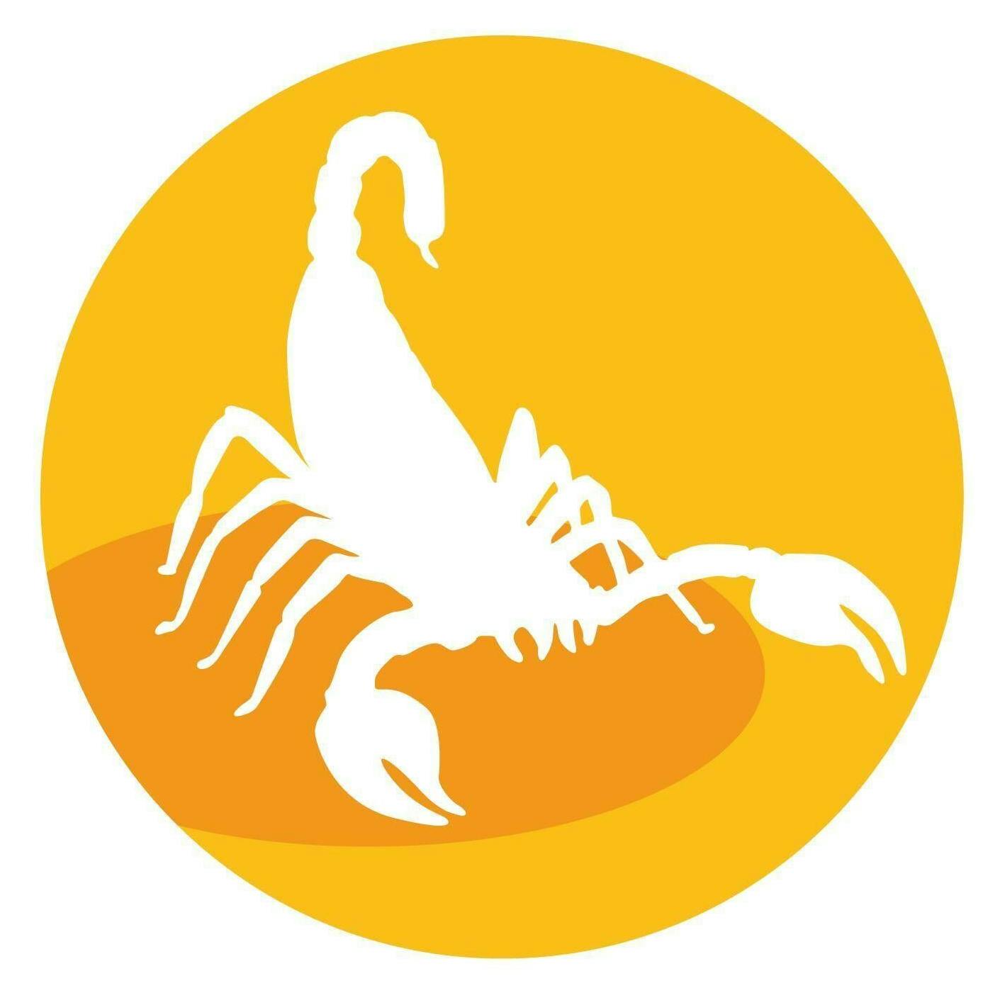 Sternzeichen Skorpion (24. Oktober bis 22. November)