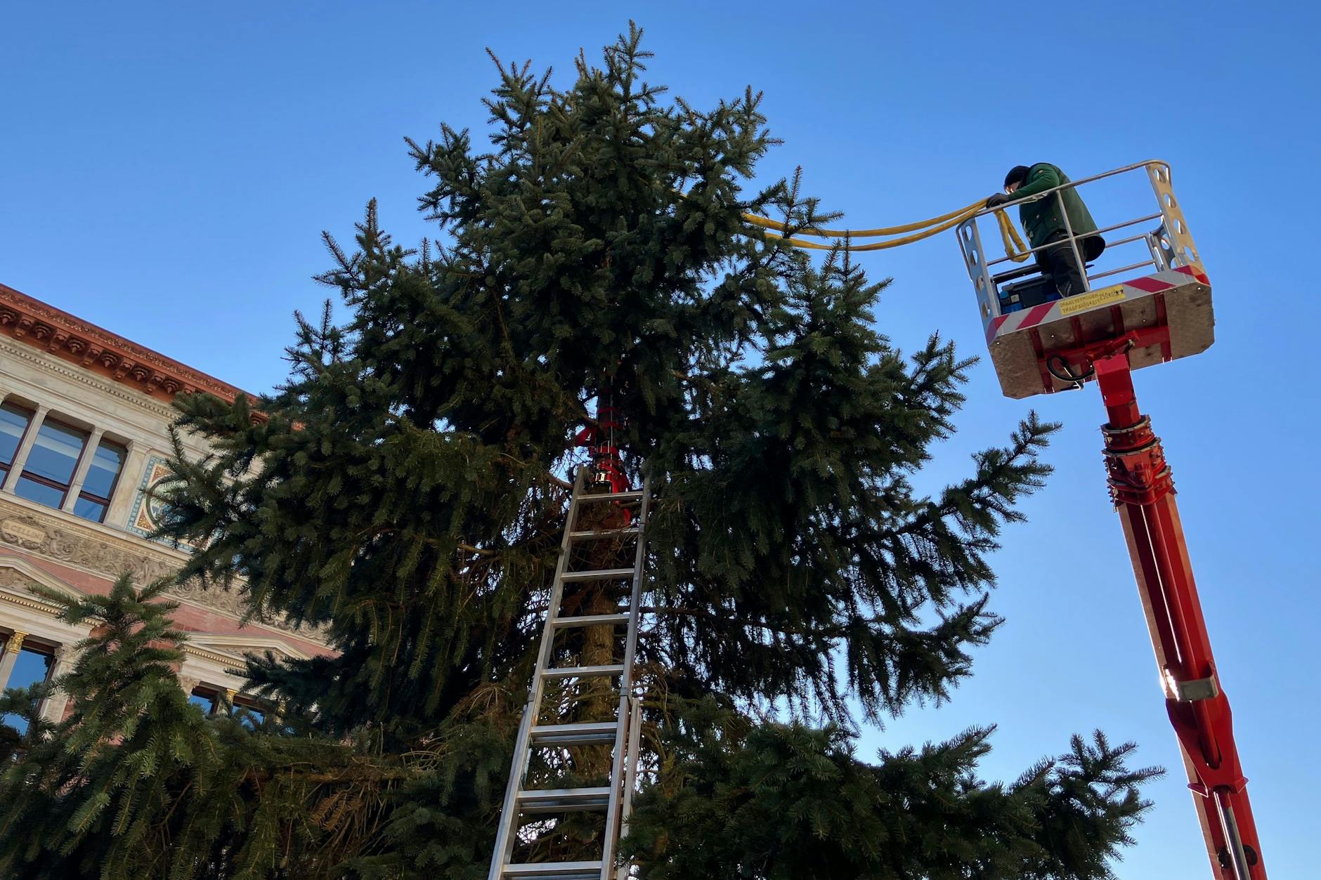 Der Weihnachtsbaum vor dem Berliner Abgeordnetenhaus war beim Transport durchgebrochen, steht nun dennoch in voller Größe, weil Arbeiter die Spitze mithilfe einer Metallkonstruktion auf dem unteren Teil befestigten.