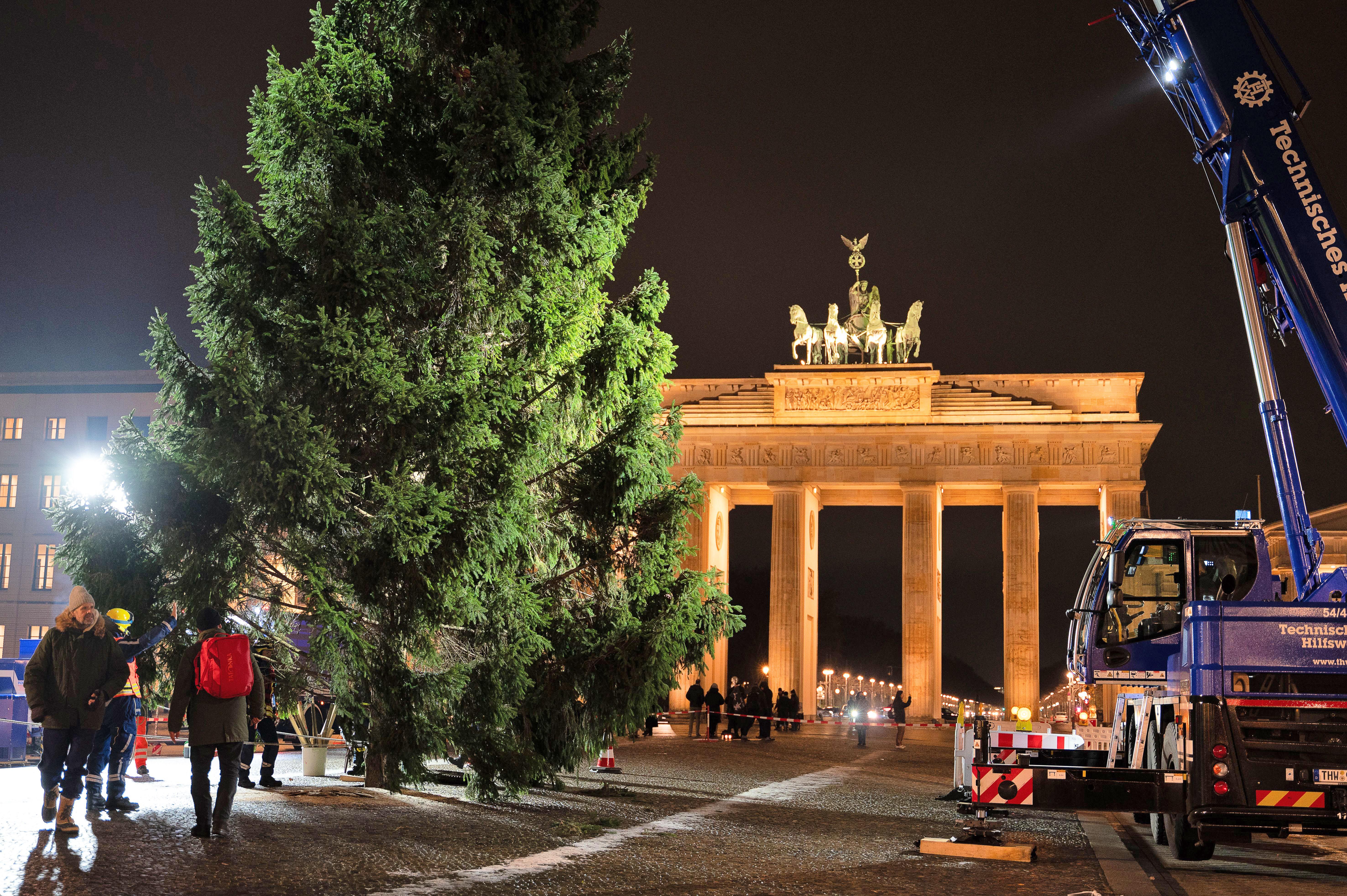 Image - Berliner Pechsträhne? Weihnachtsbaum für Brandenburger Tor wegen Unfall zu spät