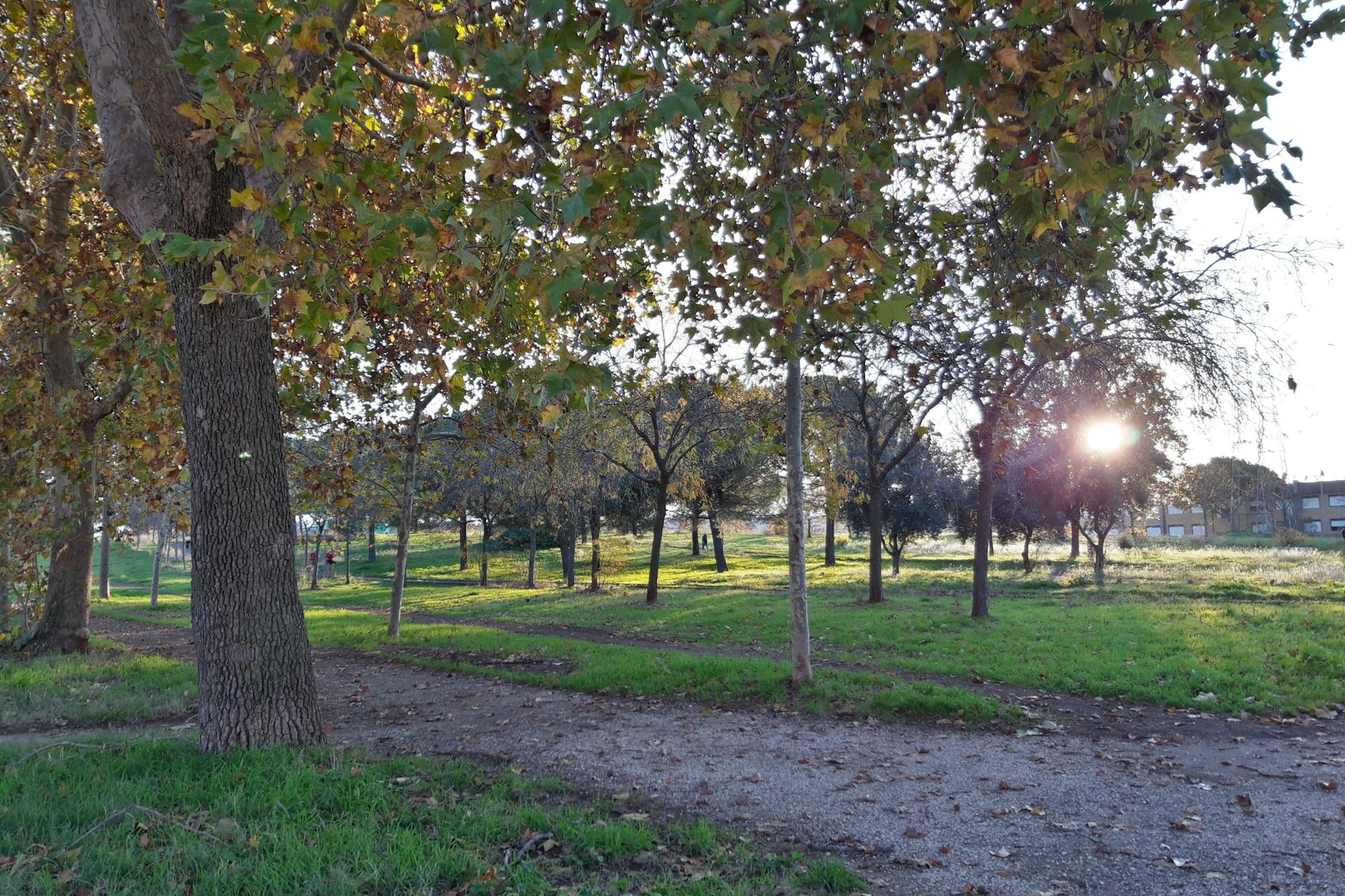 In diesem Park in Rom wurde eine 18-Jährige vergewaltigt, ihr Freund musste alles mitansehen.