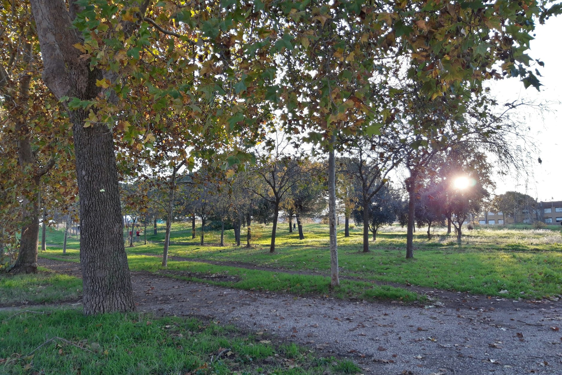 In diesem Park in Rom wurde eine 18-Jährige vergewaltigt, ihr Freund musste alles mitansehen.
