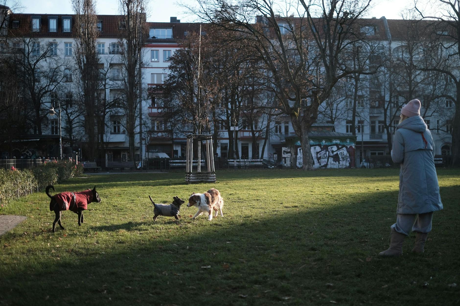 Der Boxhagener Platz ist ein beliebter Treffpunkt im Bezirk, der für seinen Spielplatz und für seine Märkte bekannt ist.