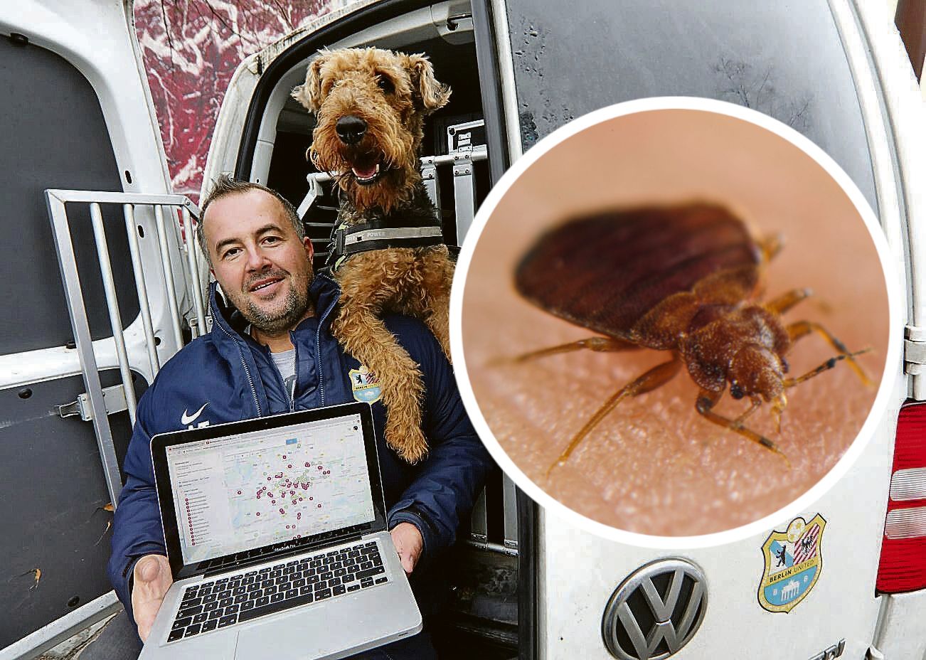 Image - Phosphin in Berlin? Experte warnt: Bettwanzen-Gift auch bei uns!