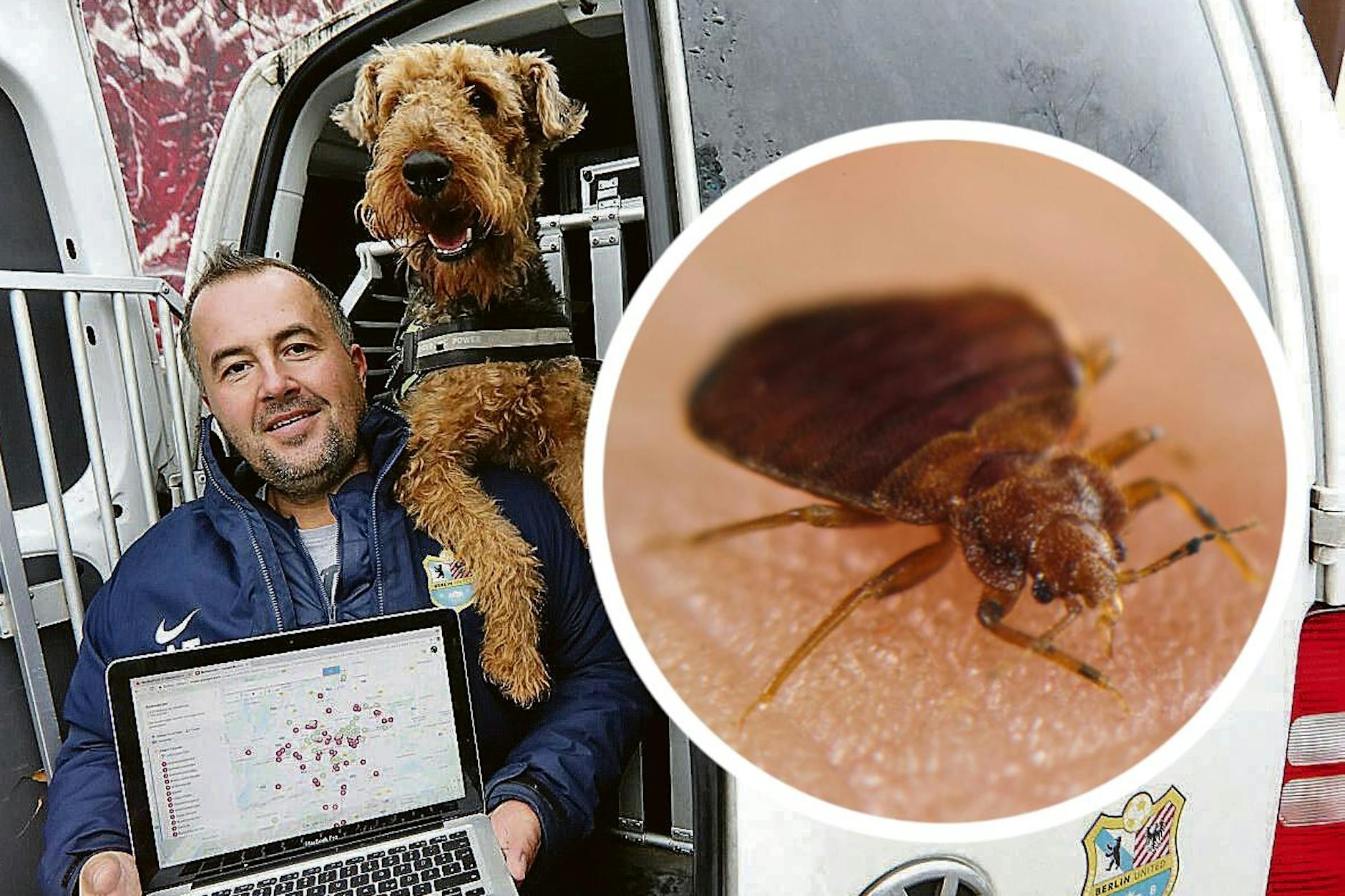 Tod durch Phosphin! Experte warnt: Bettwanzen-Gift gibt es auch in Berlin